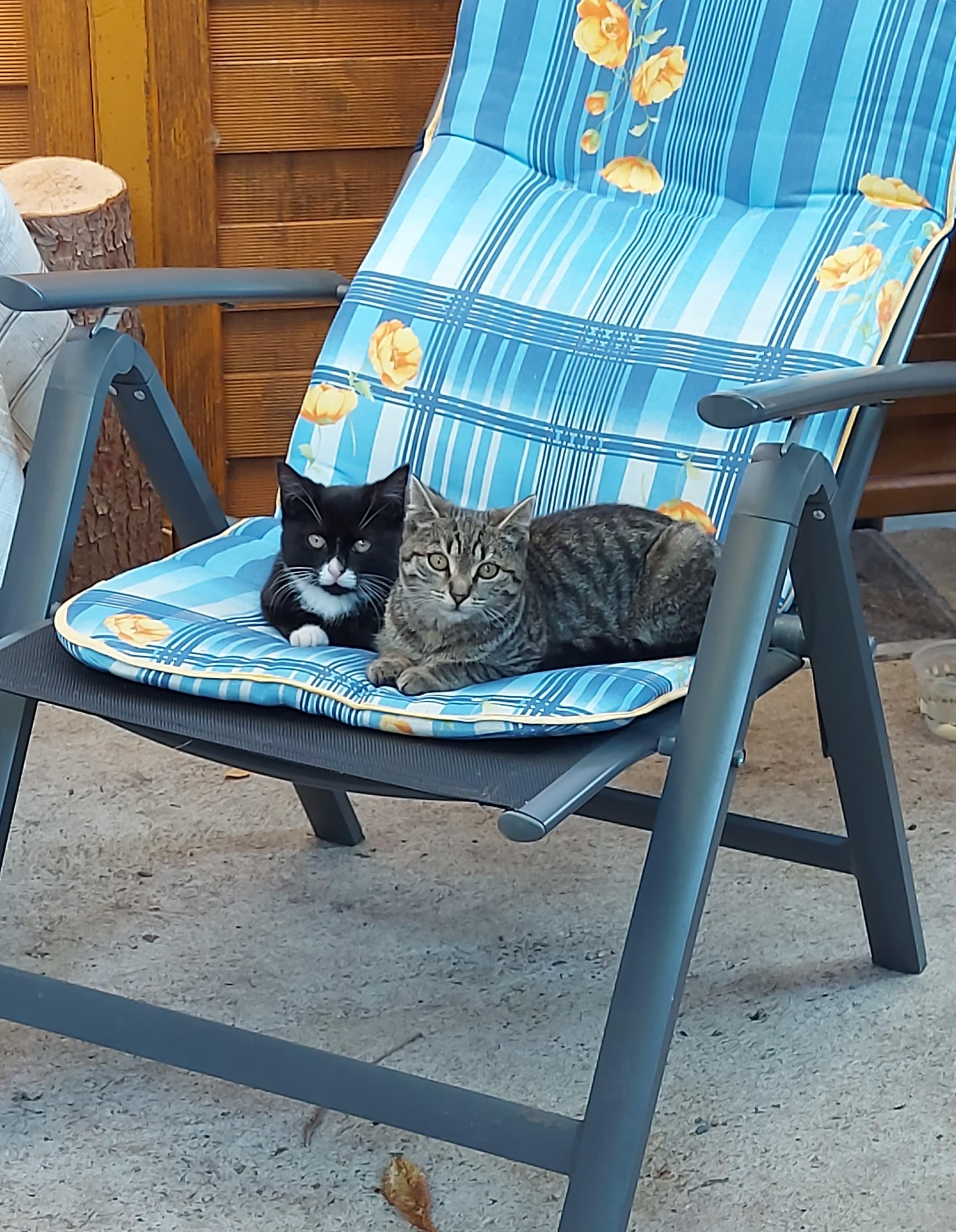 Katja und Lars. Habe sie noch nicht - Töpferstraße, Bautzen