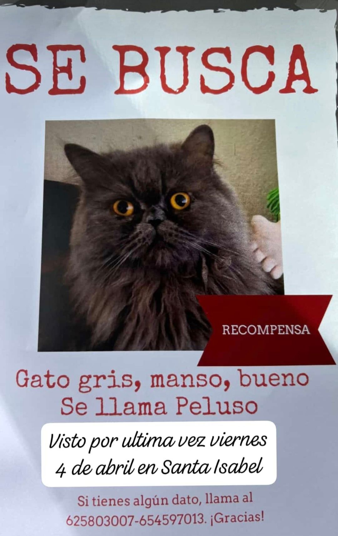 Peluso - Calle Grafito,Puerto De La Torre, Málaga