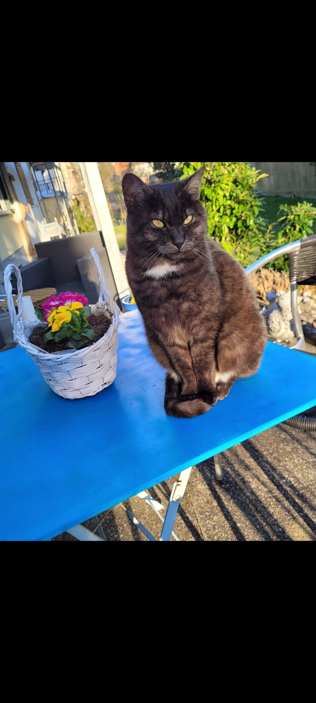 Sissi - Bahnweg 35, Zuchwil