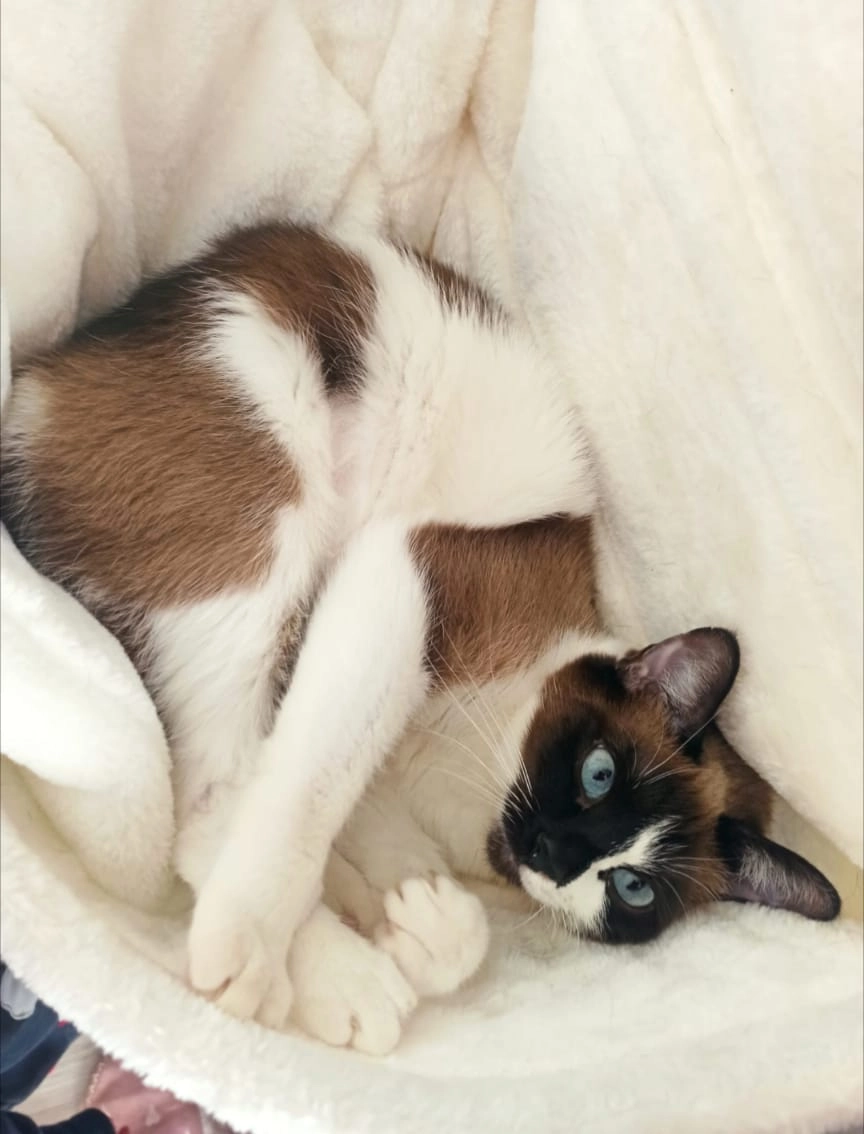 Luna - Am Bahnhof 4A, Neukirchen