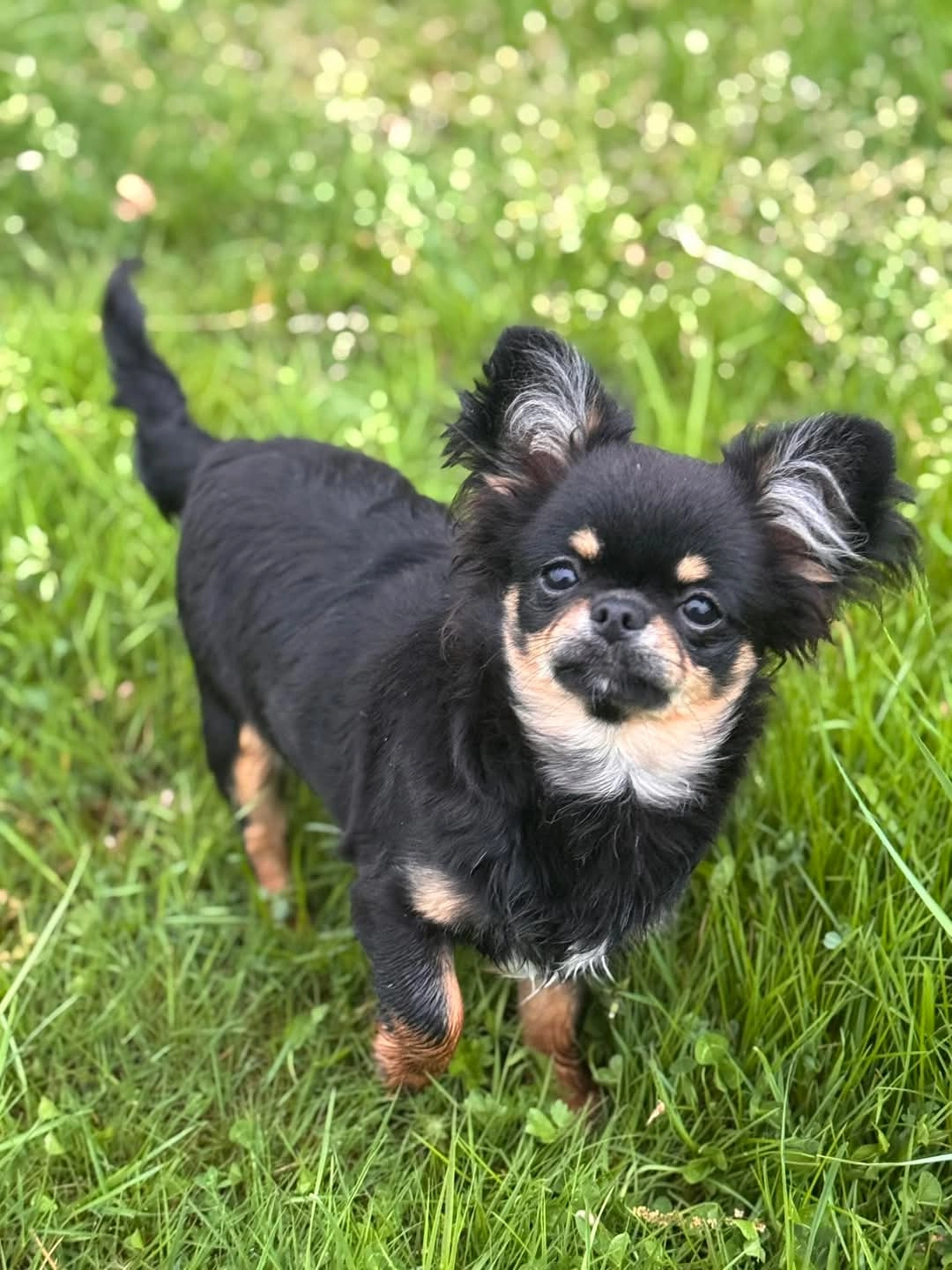 Hope - Rue Alfred Dauvergne, Châteauroux