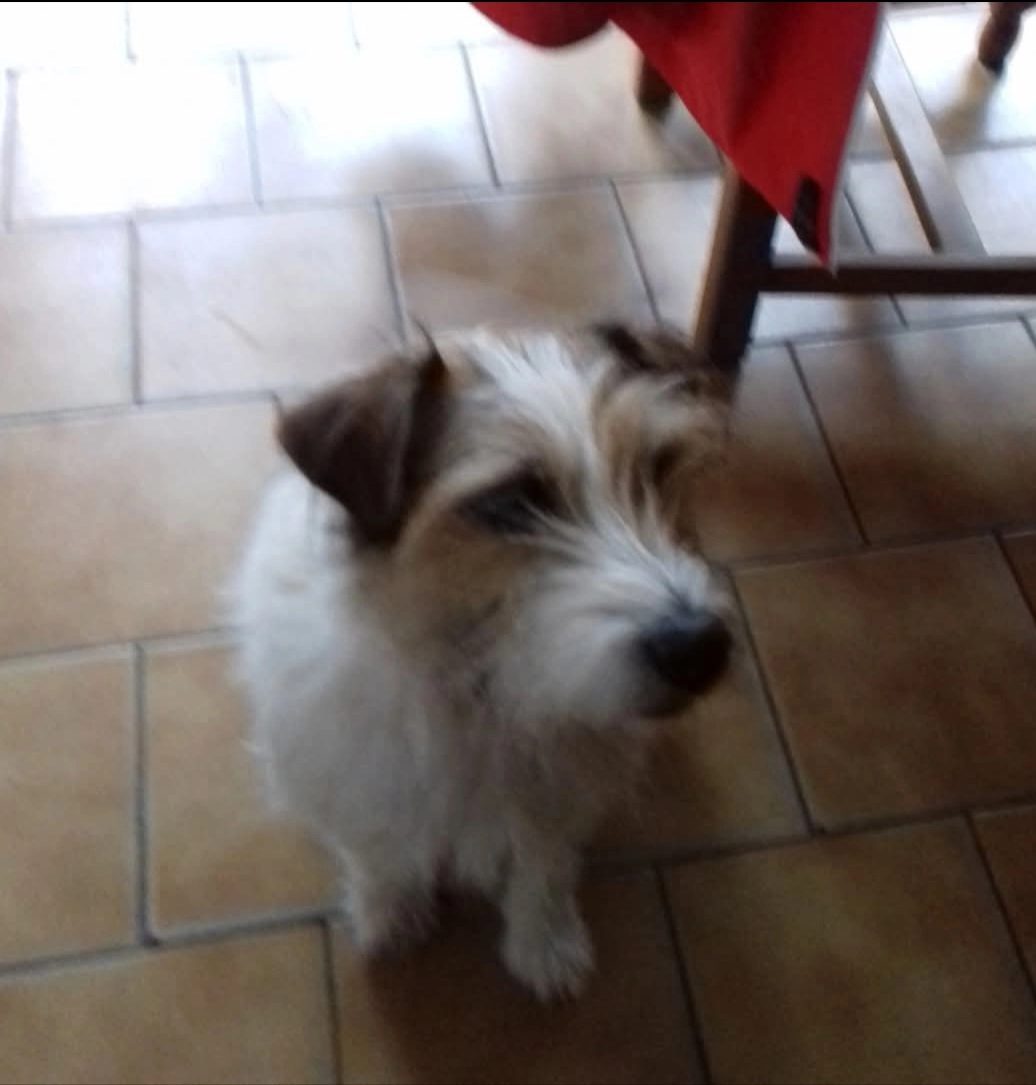 Joker - 60 Route de la Haye-Fouassière, Vertou