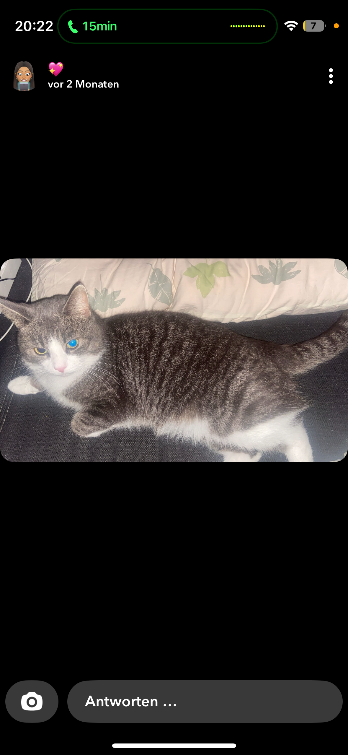 Aladin - Westerstraße, Norden