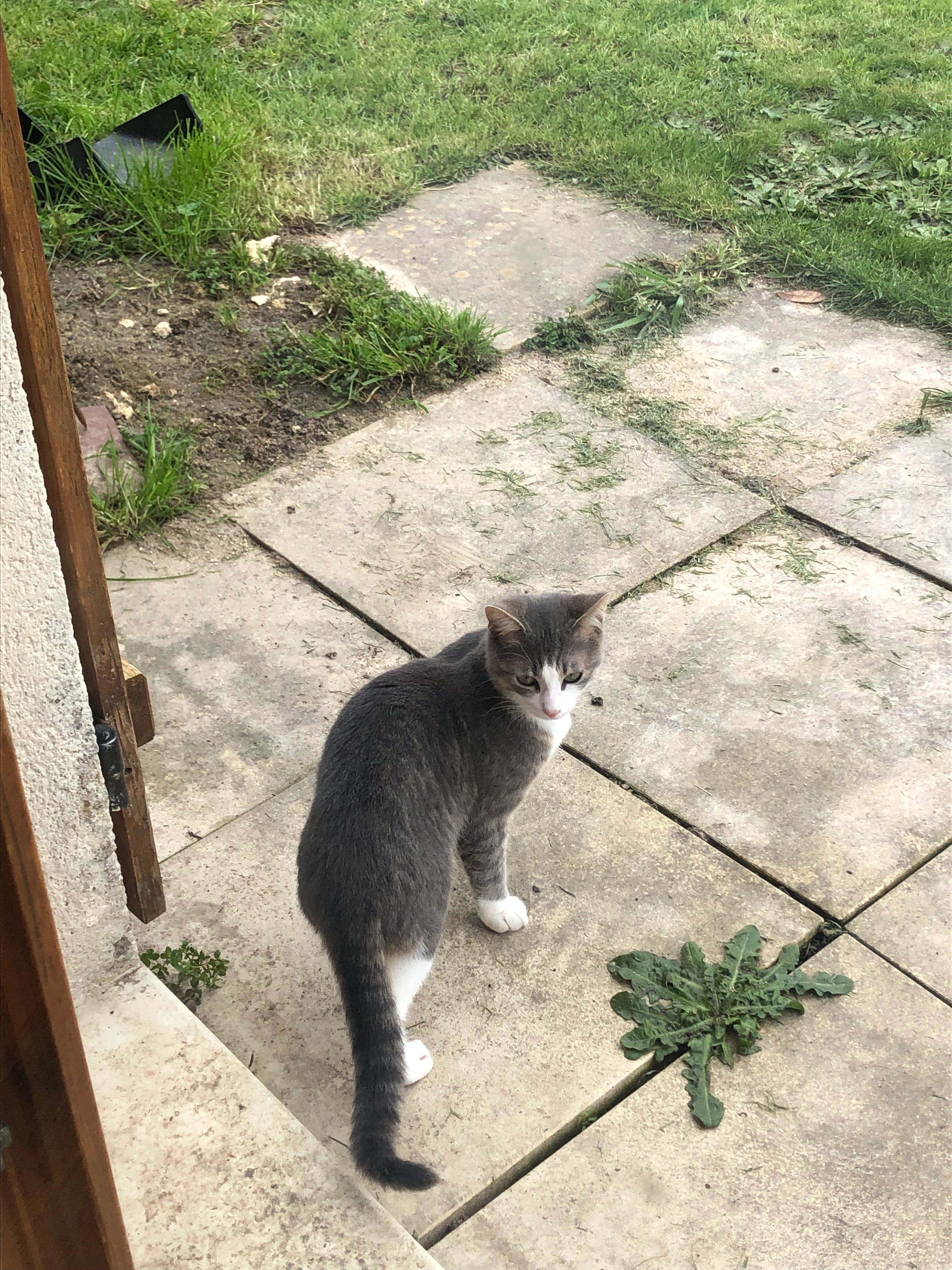 Kimy  - Lotissement les Pres au Blé, Bauzy