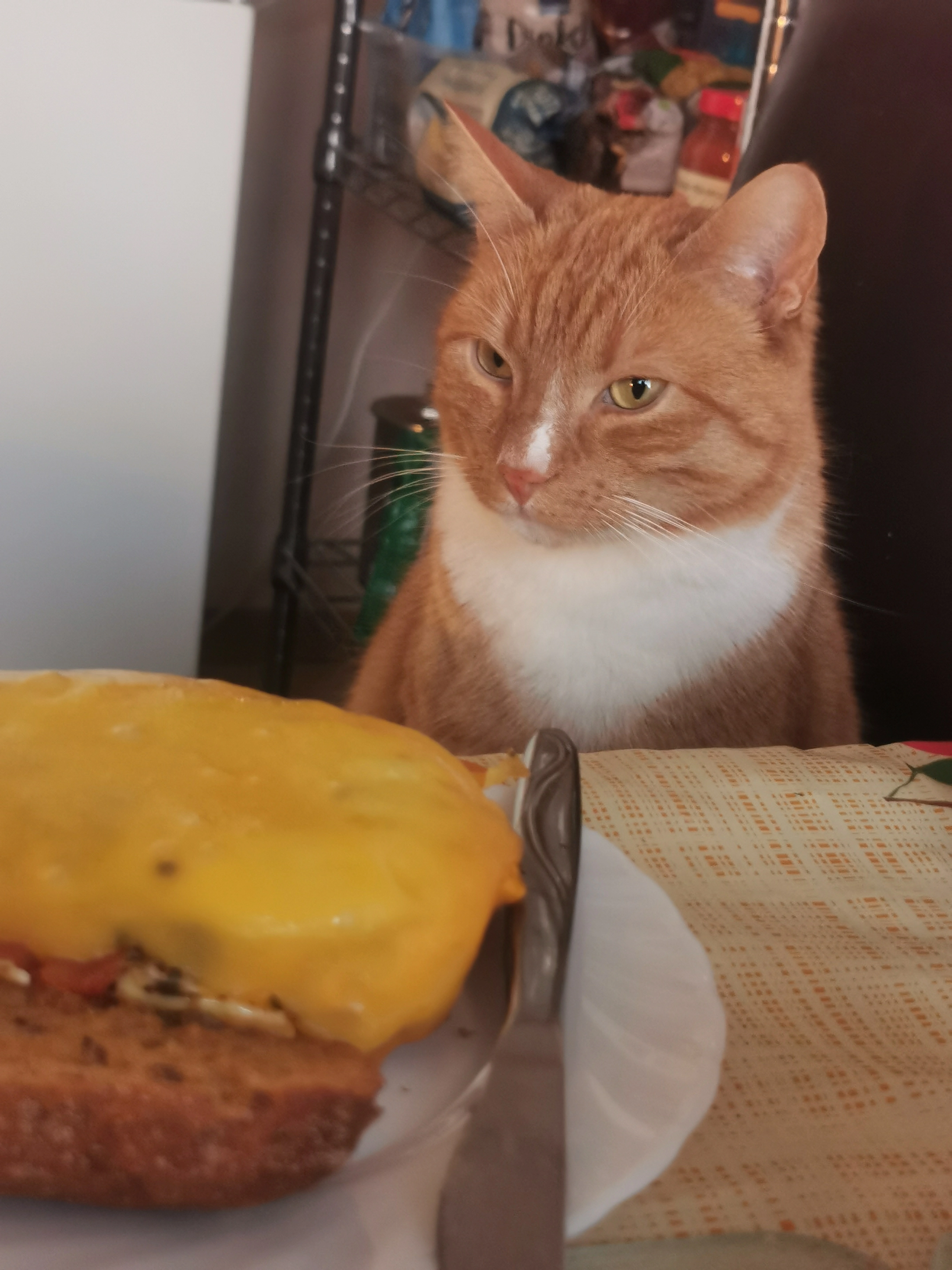 Sascha - Stationsstraat, Haaksbergen