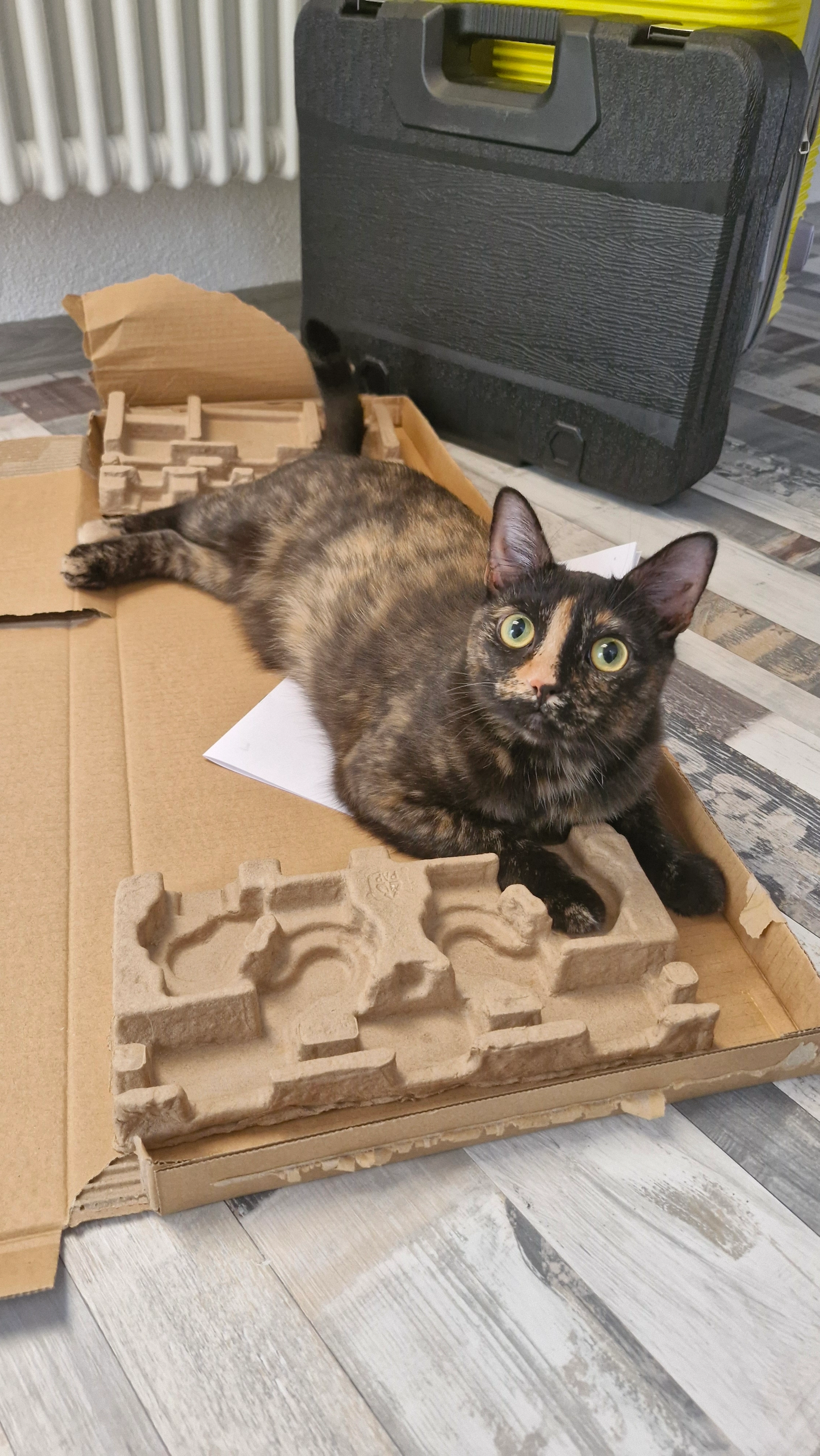 Nori - Kirchstraße, Neunkirchen