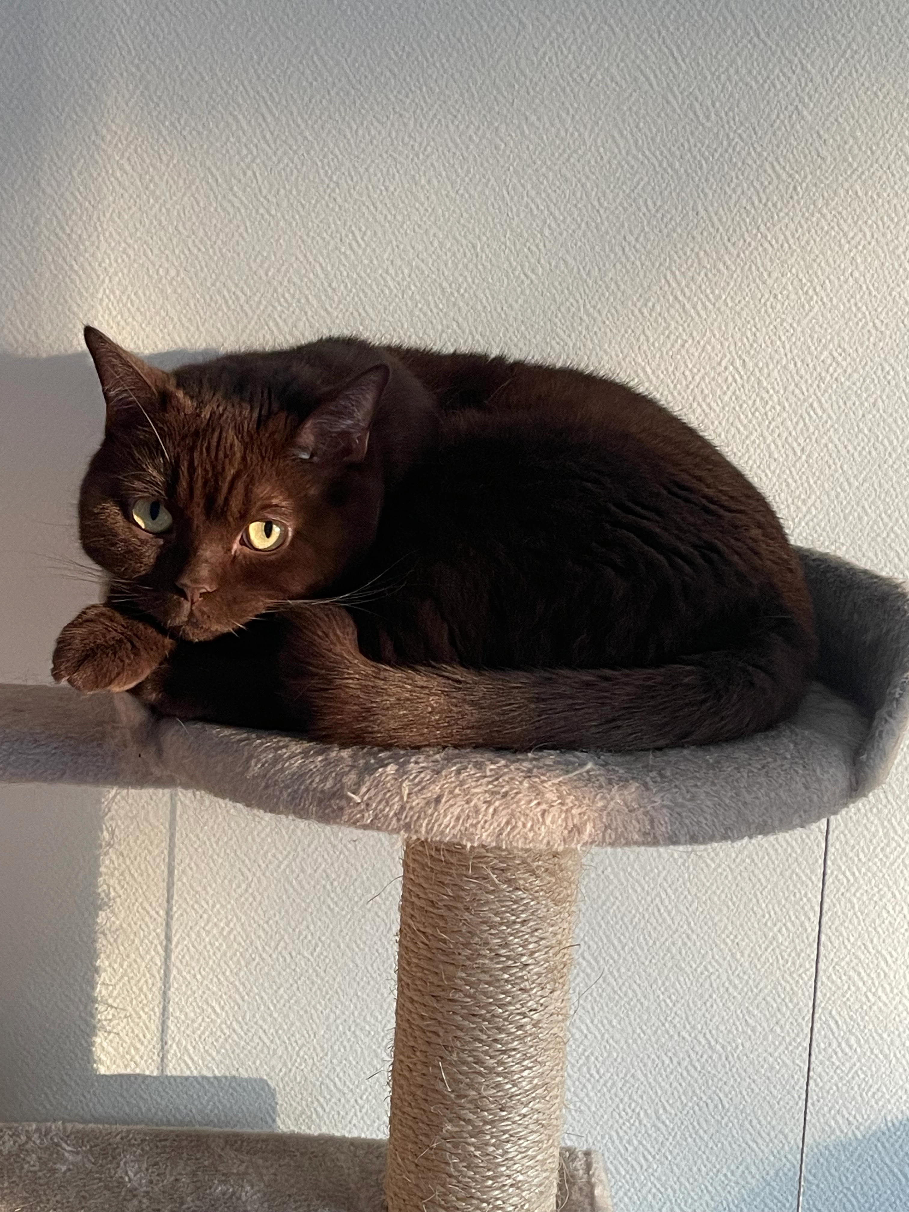 Balu - Berliner Straße, Ronnenberg