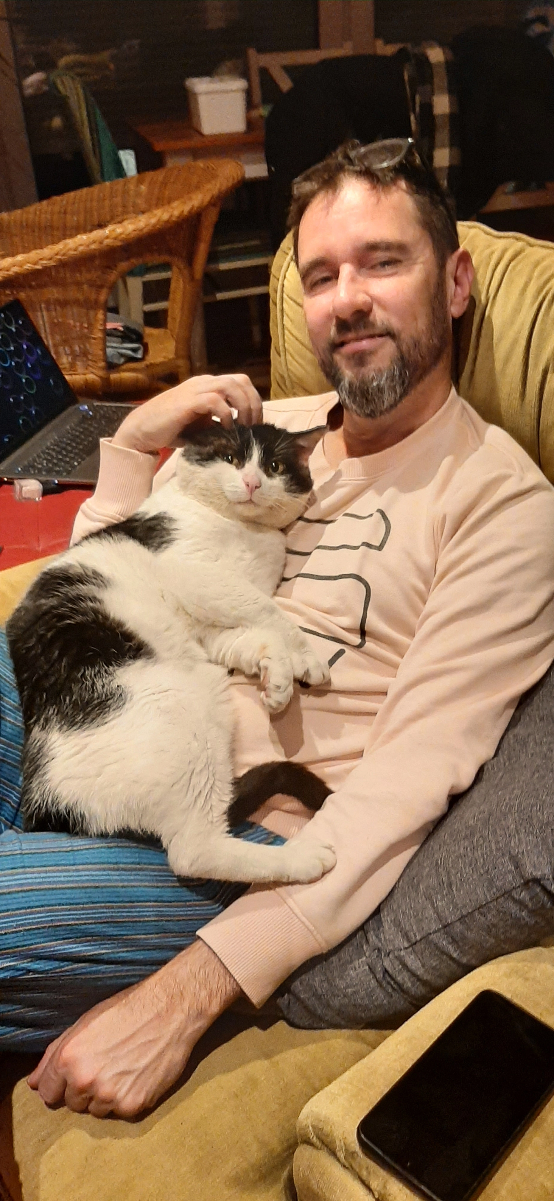 pretty kitty - Meisterstraße, Balingen