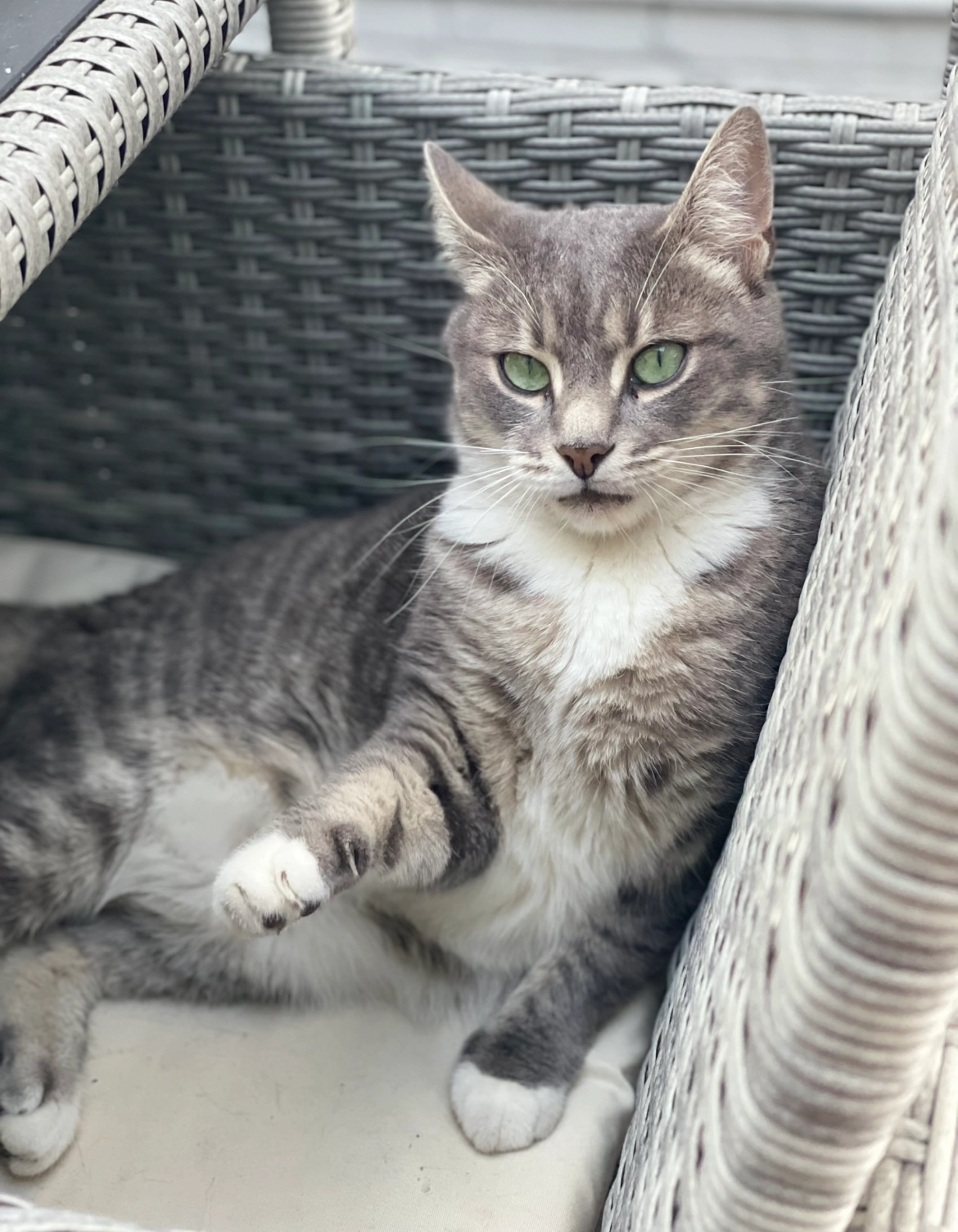 Neil - Southtown Road, Great Yarmouth