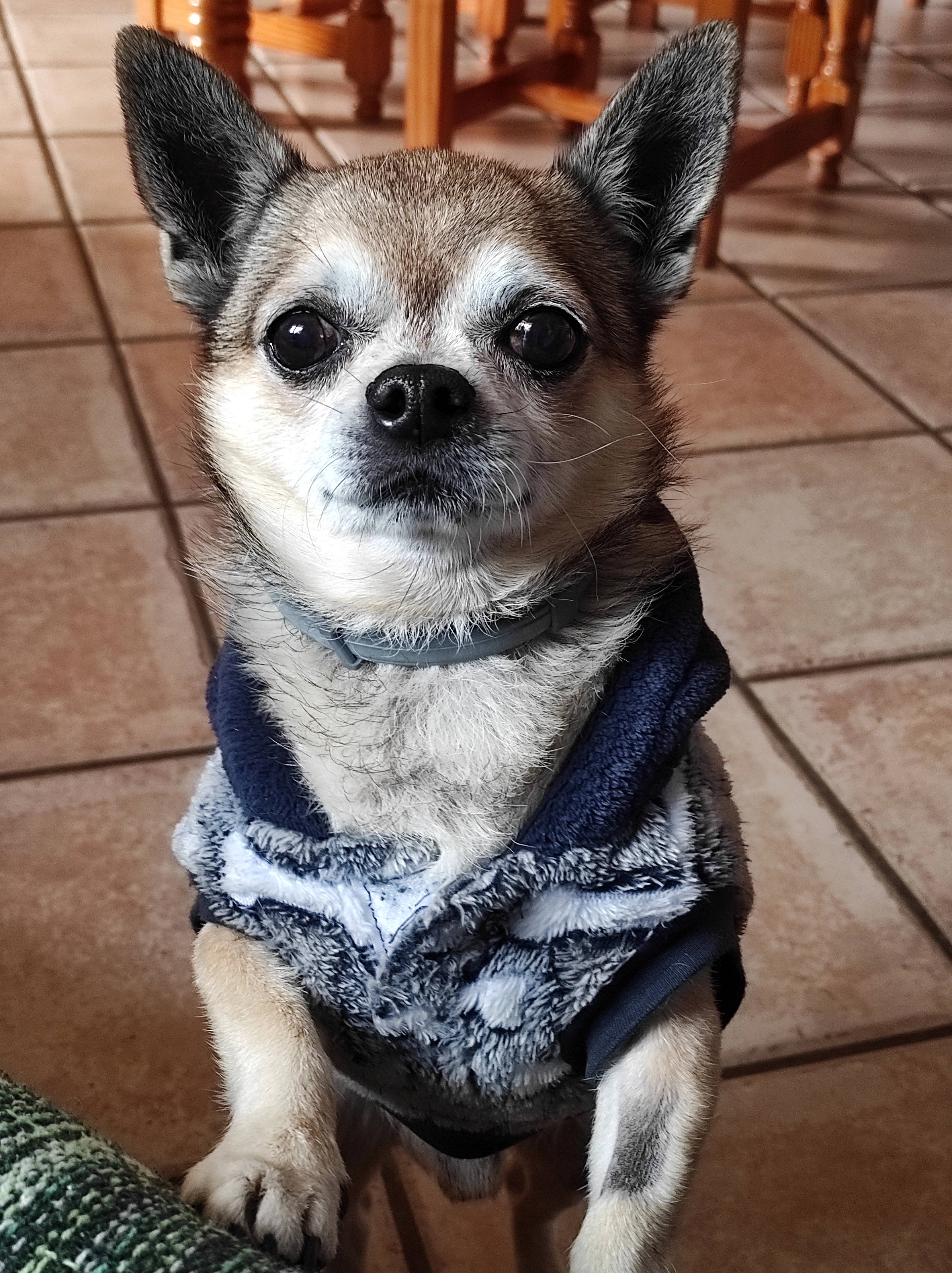 Ravito - Calle Pintor Sorolla, Redován