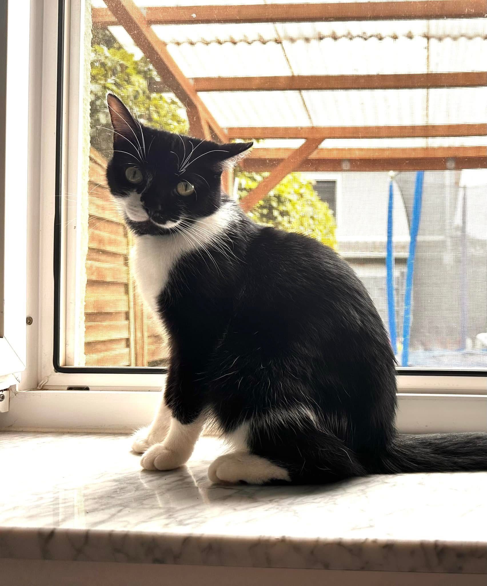 Mimi - Hauptstraße, Echzell