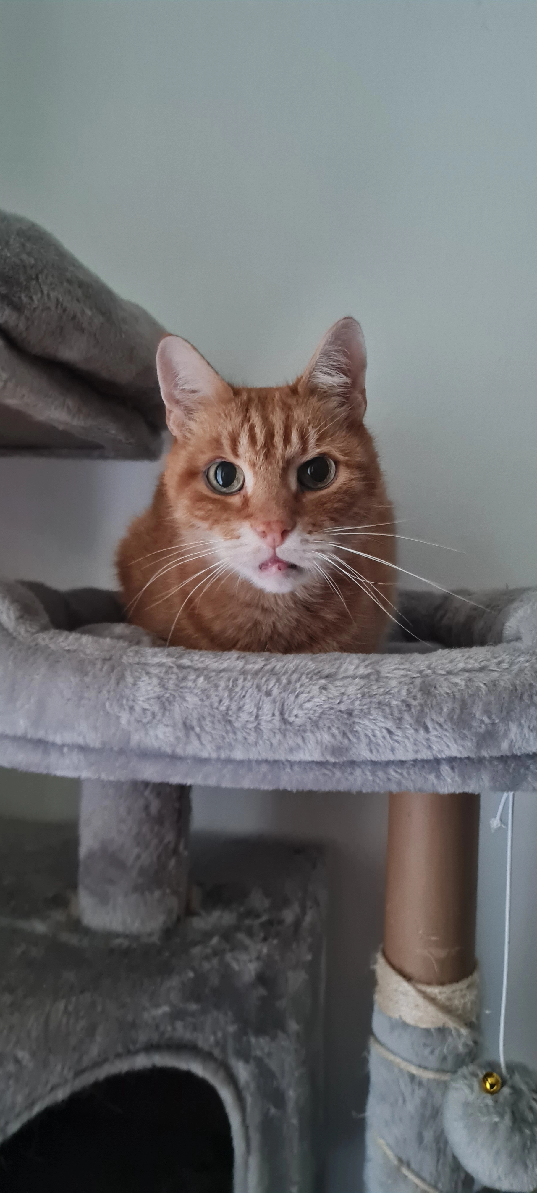 Ruby - Krimhildenweg, Pitten