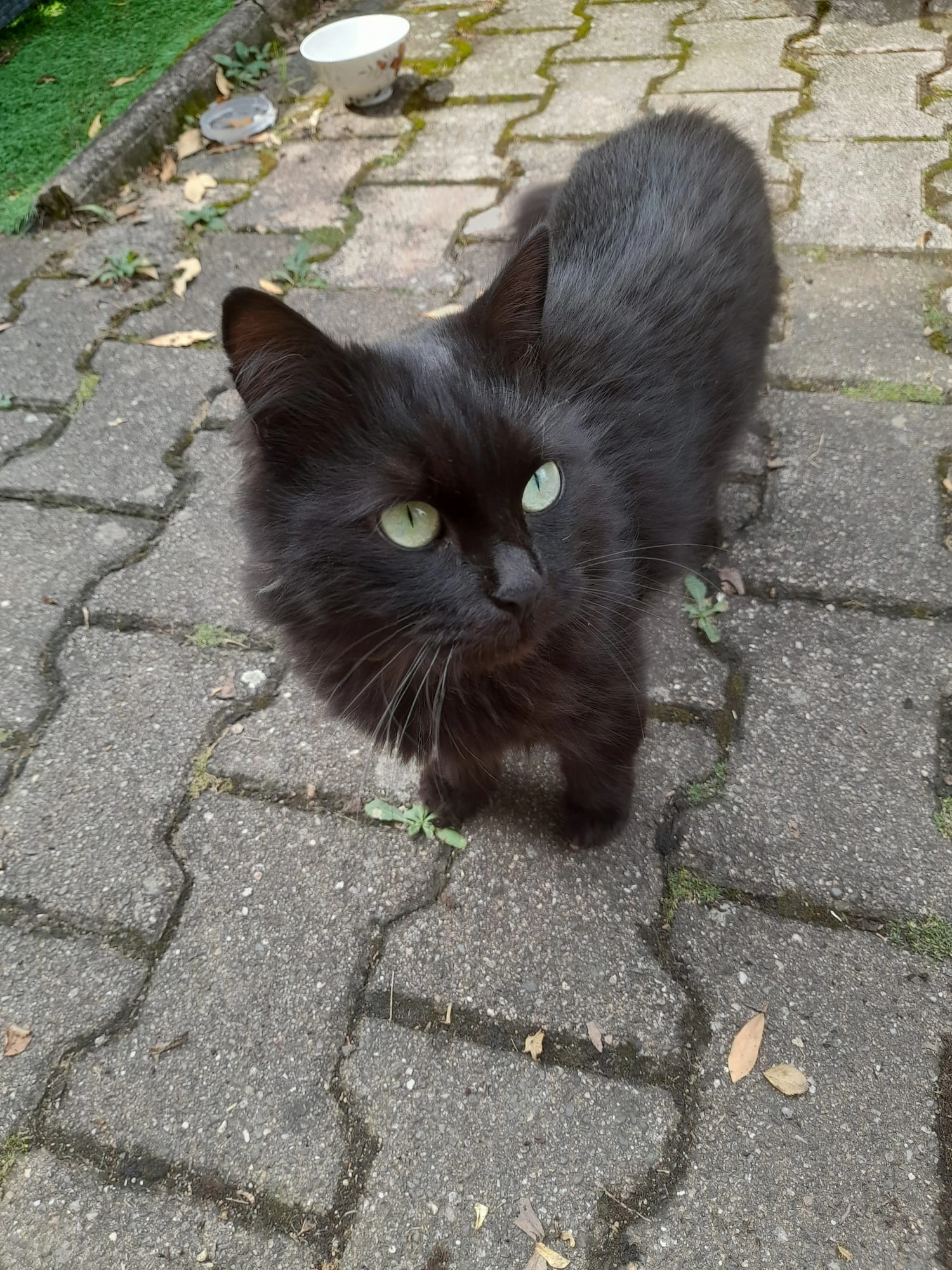 Hynata  - Avenue Louis Paget, Hauts-de-Bienne