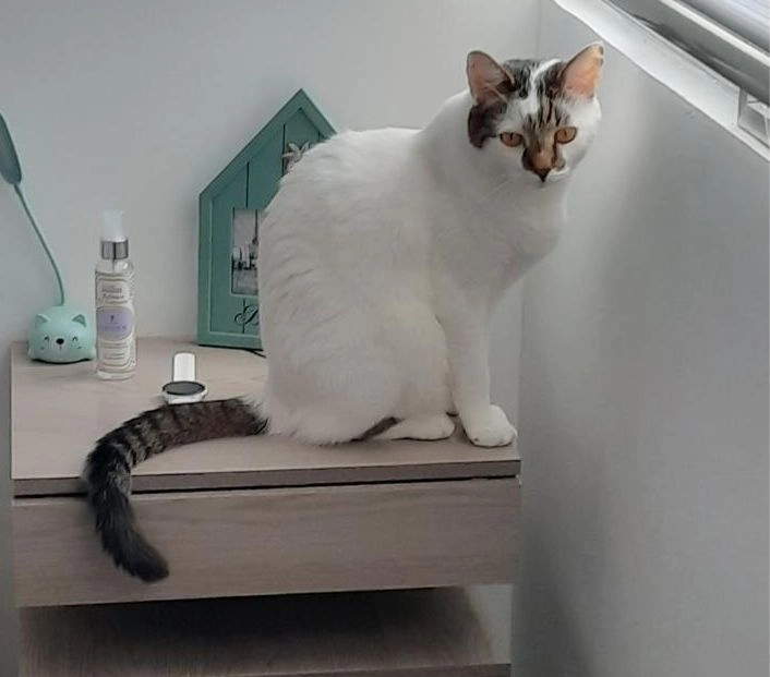 Coco - Calle Nou, Llinars del Vallès