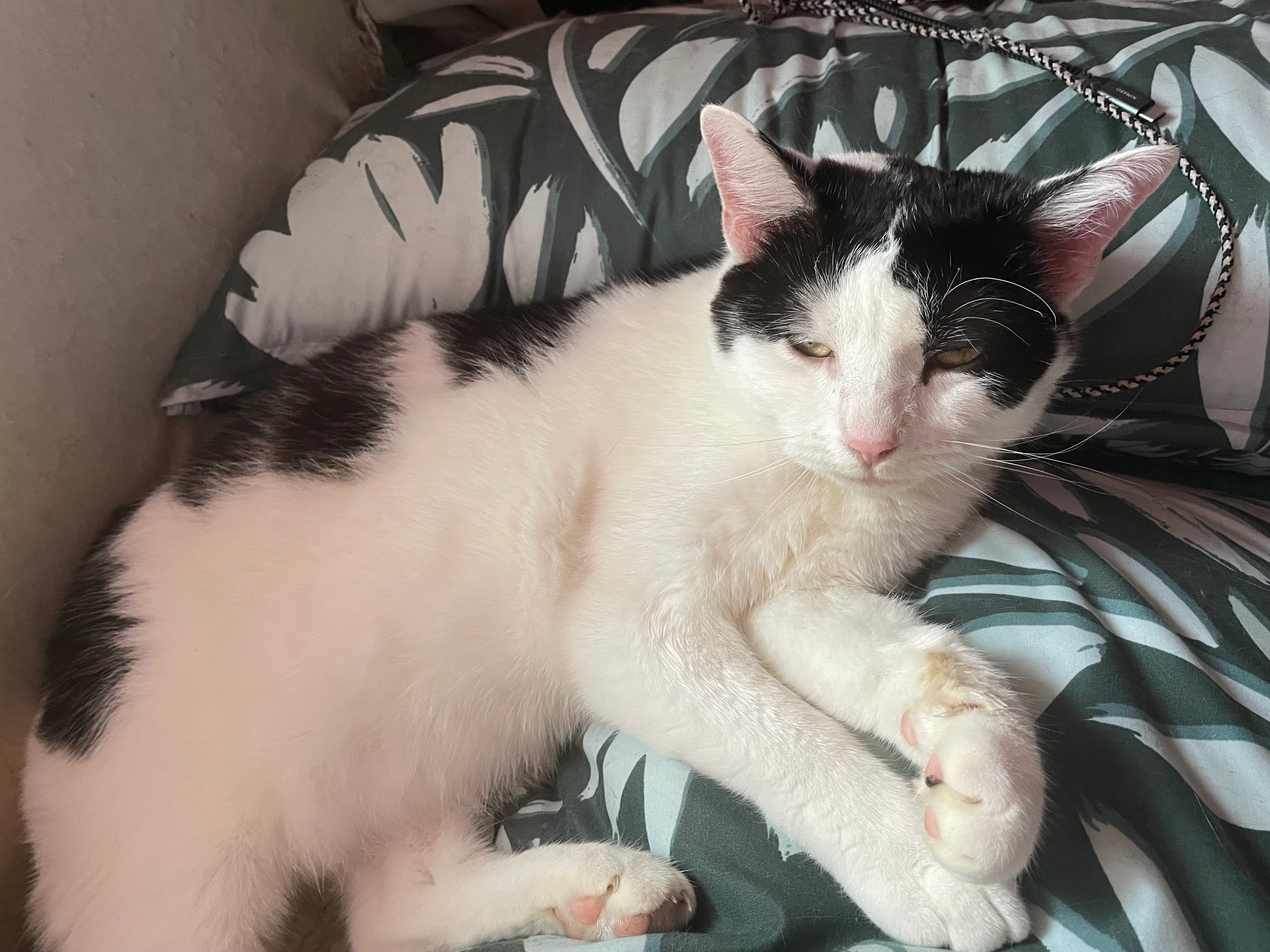 Ares - Friedrich-Engels-Straße 17, Rathenow