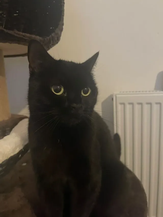 luna - 6 Mill Lane, Canterbury