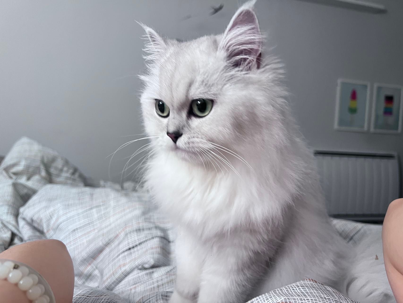 Yumi - Freemans Quay, Durham