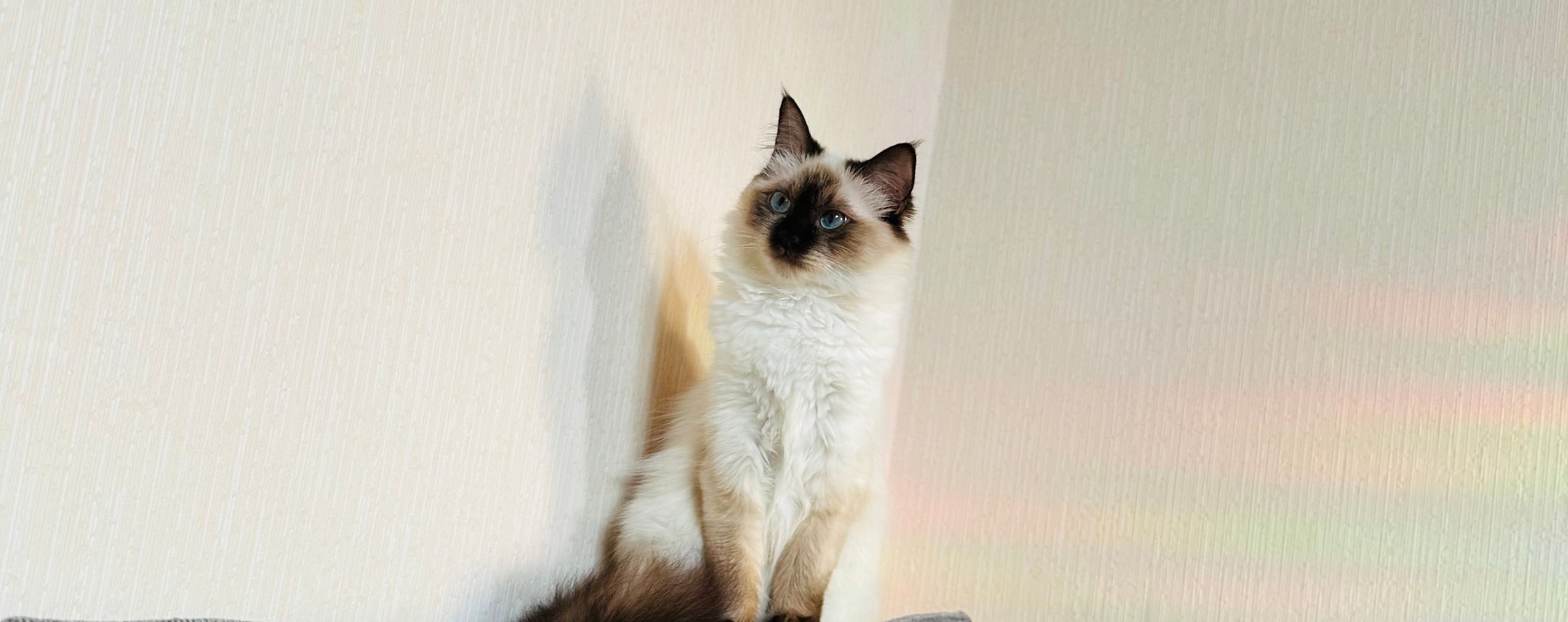 Yuna - Am Baumstück, Bad Camberg