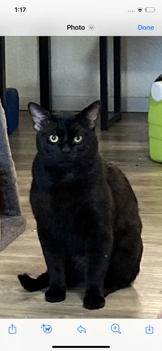Buster  - E Carmel Dr, Aurora