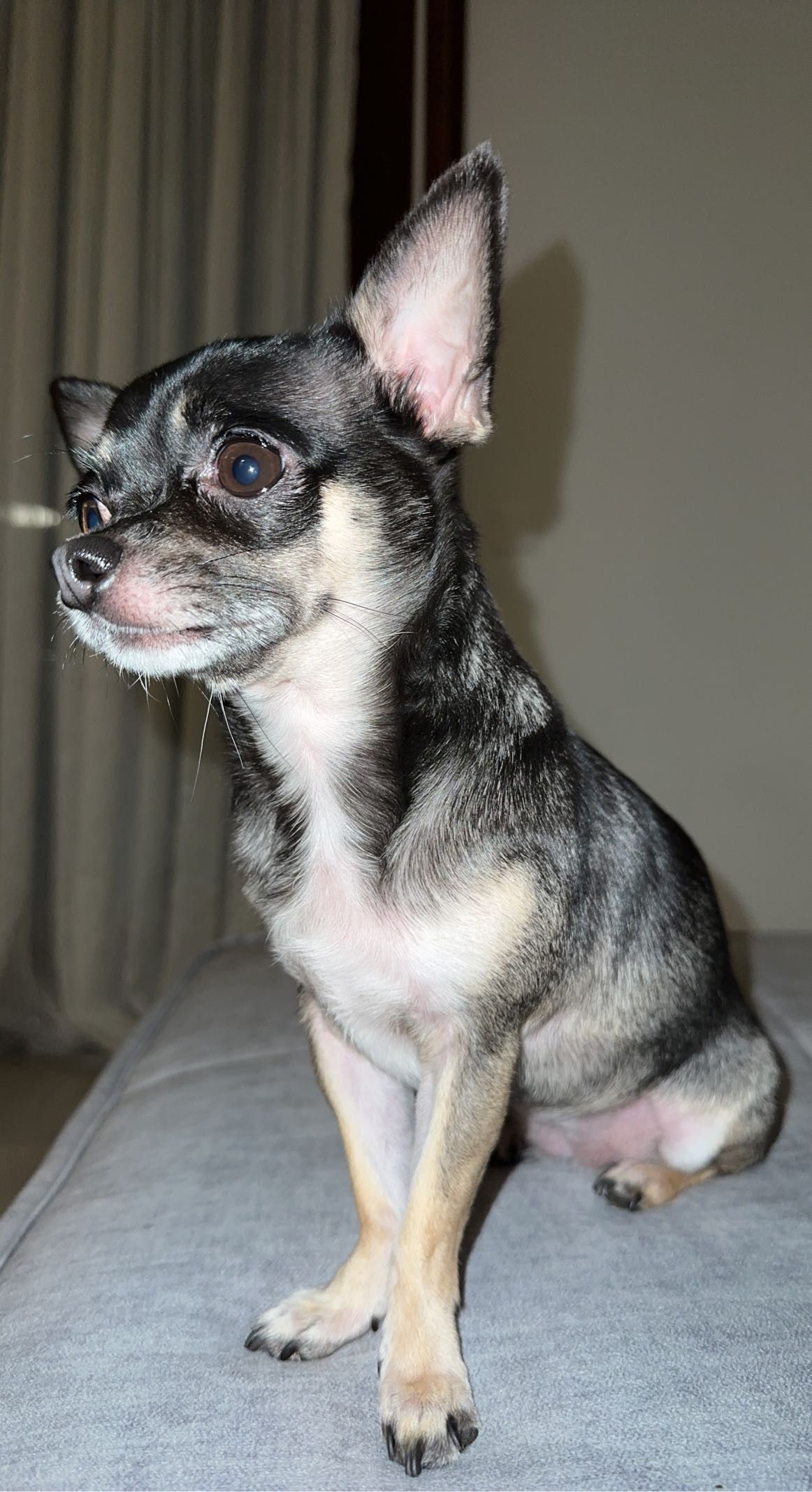 Chanel - Route du Lavapesson 19, Granges-Paccot