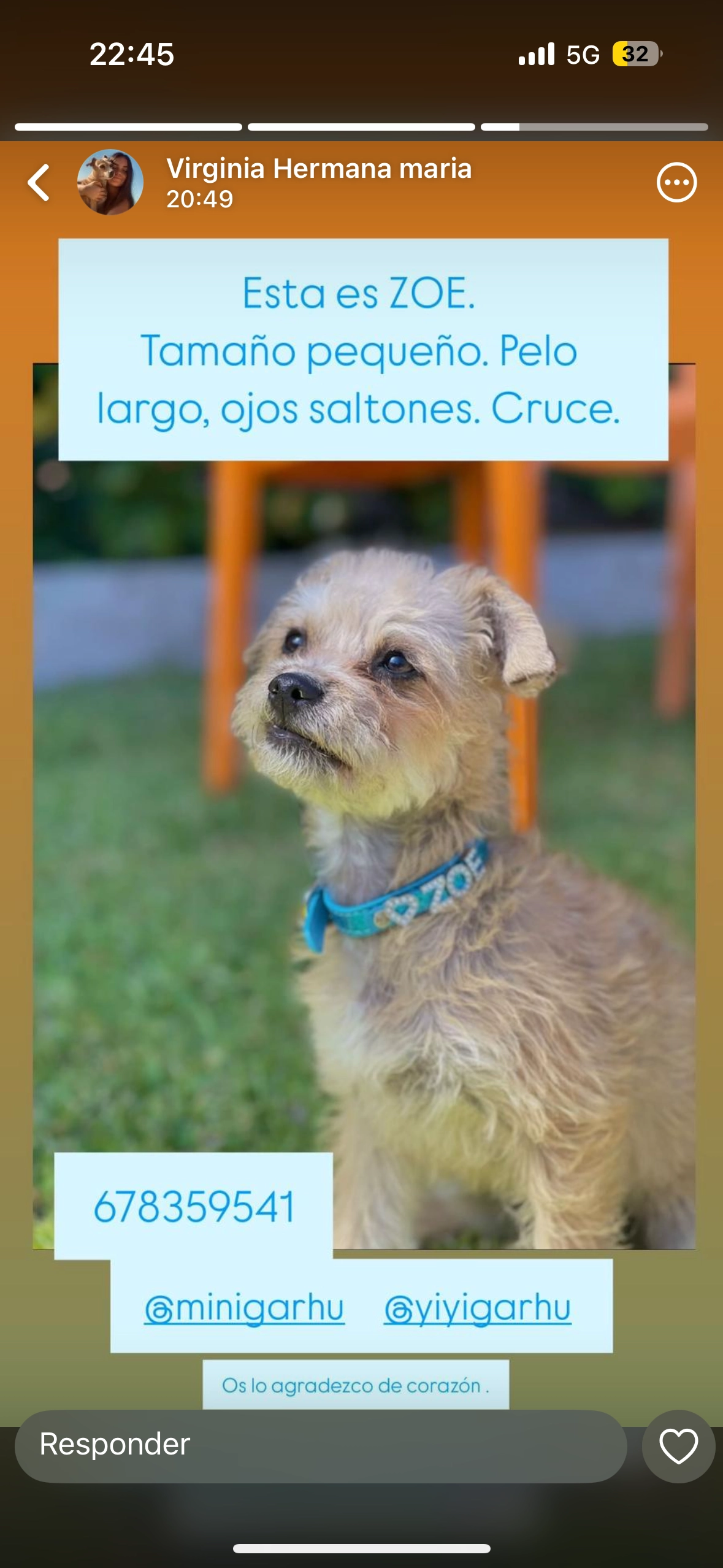 Zoe - Ca-6104, Arcos de la Frontera