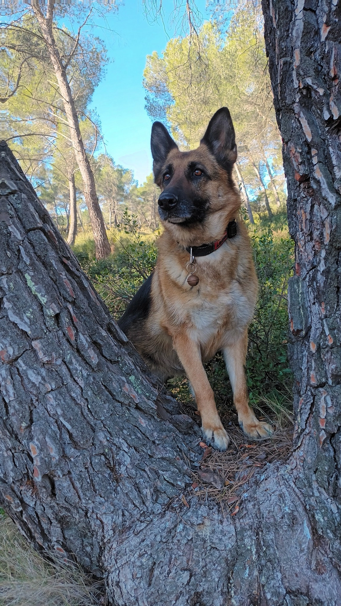 Orka  - Allée Des Norias, Bouc-Bel-Air