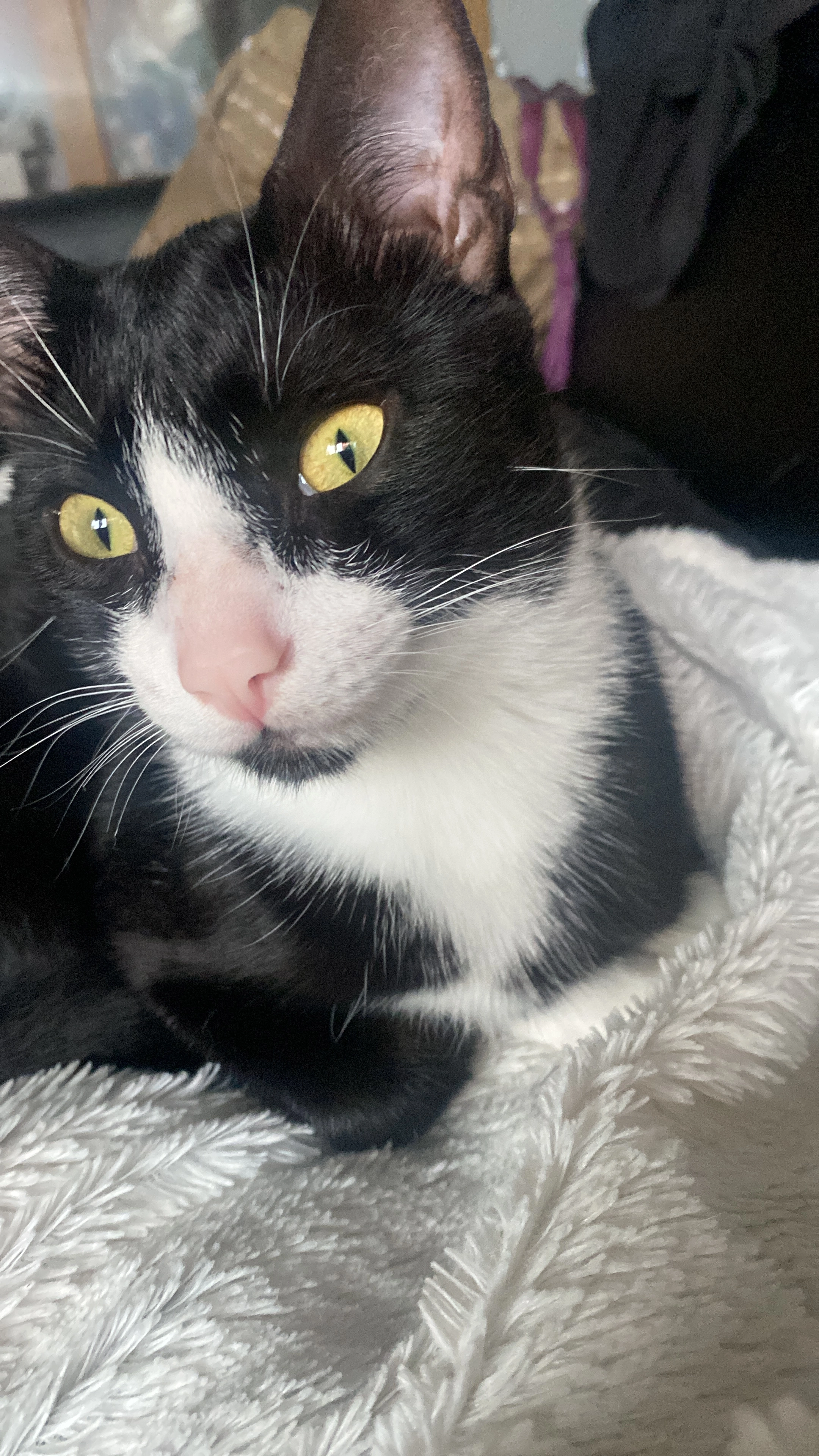 Beltza - Mojaparte Kalea / Calle Mojaparte, Basauri