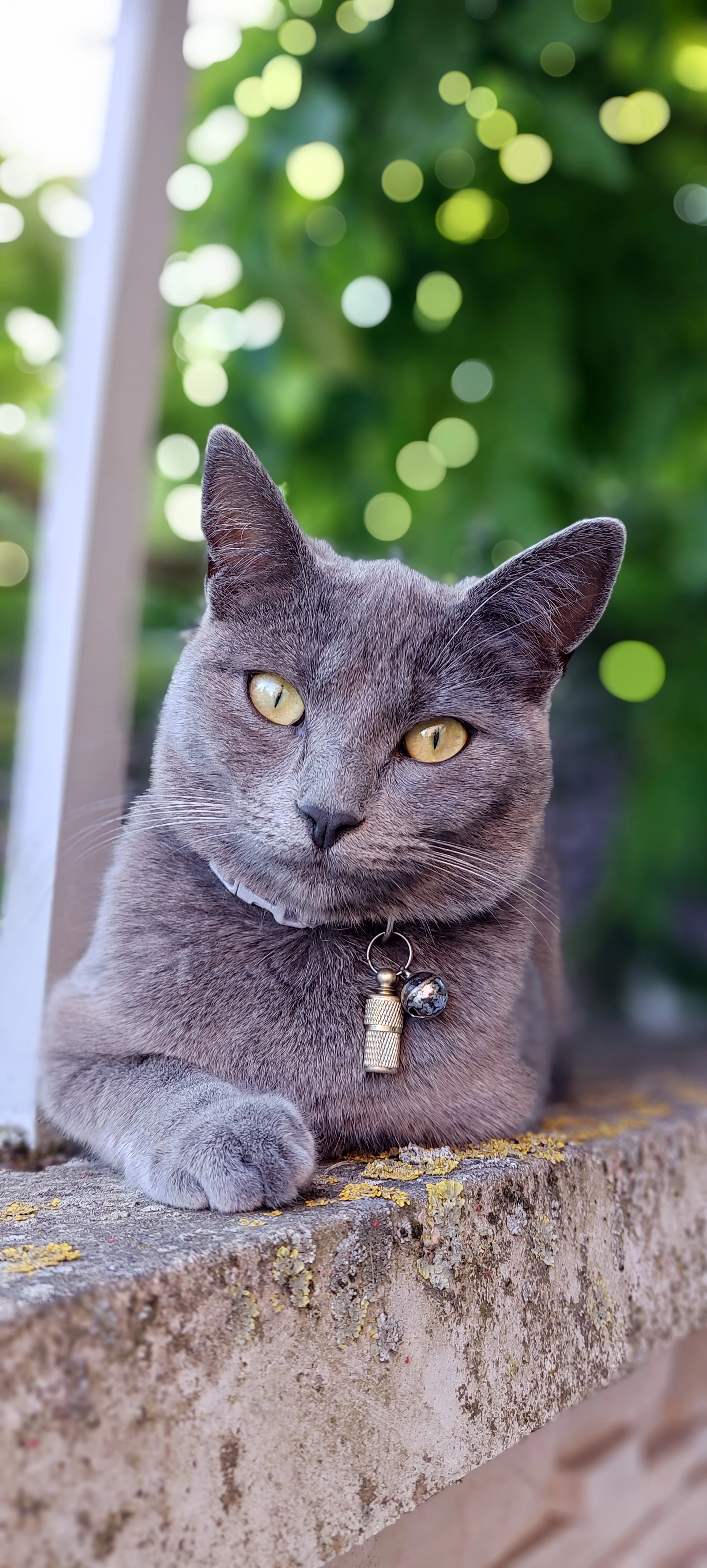 Kali - Rue de Prisches, Binche