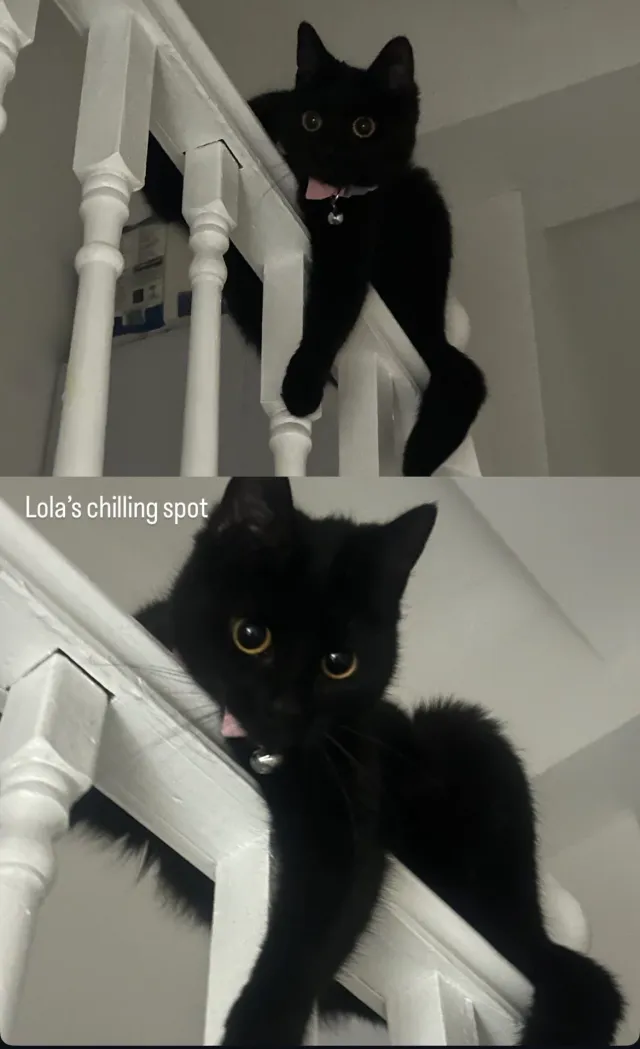 Lola - Benares Road, London