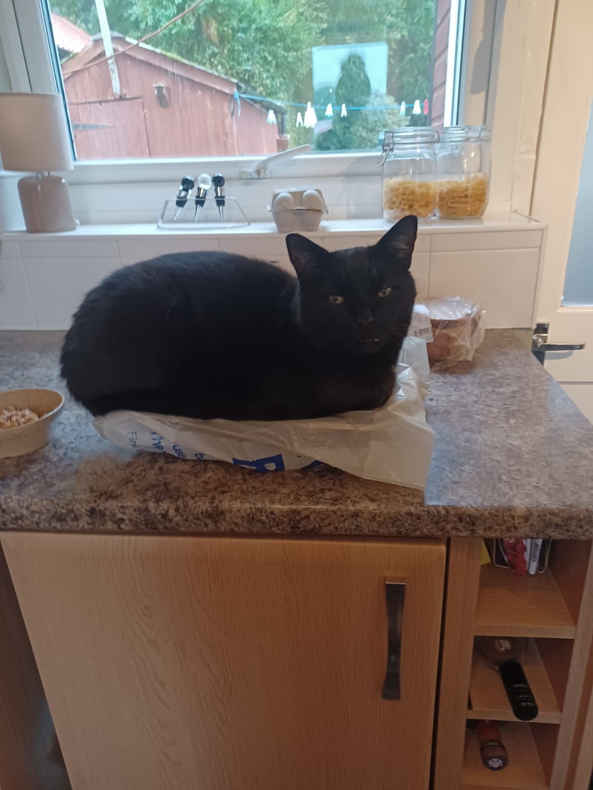 Panther  - Kiplingcotes Lane, York