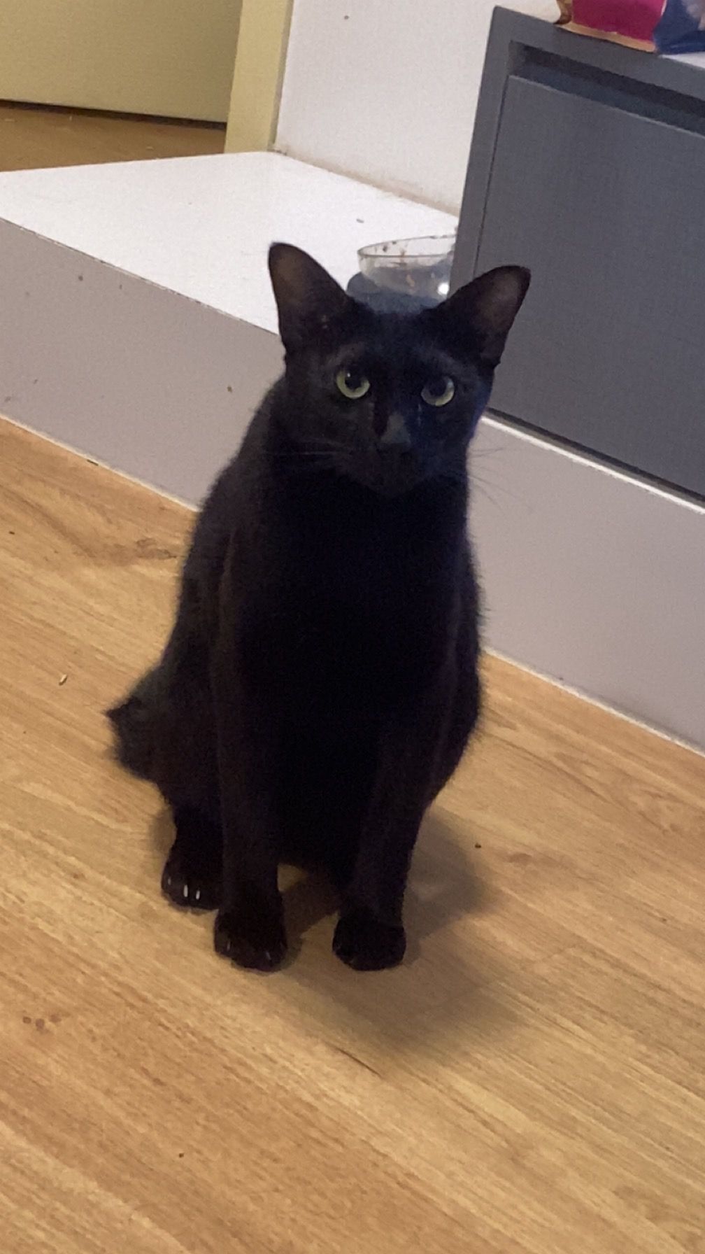 Simba - ถนนเทศบาล 1 ซอย 36, Bang Lamung