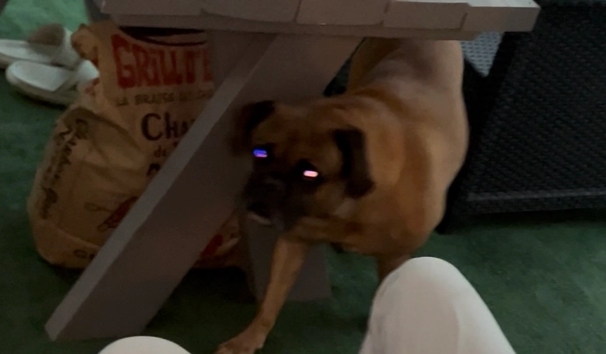 Reeze - 2 Rue des Turquoises, Chanteloup-les-Vignes