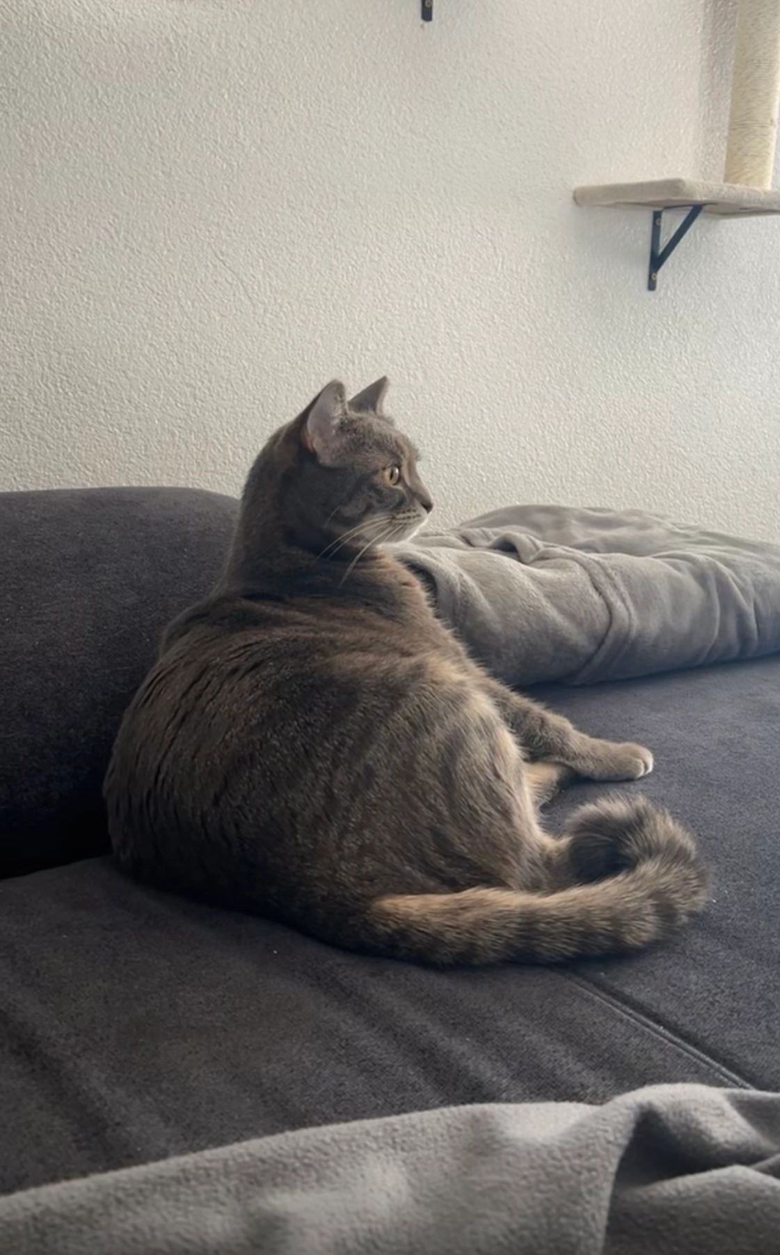 Malina - Löschenrod, Eichenzell