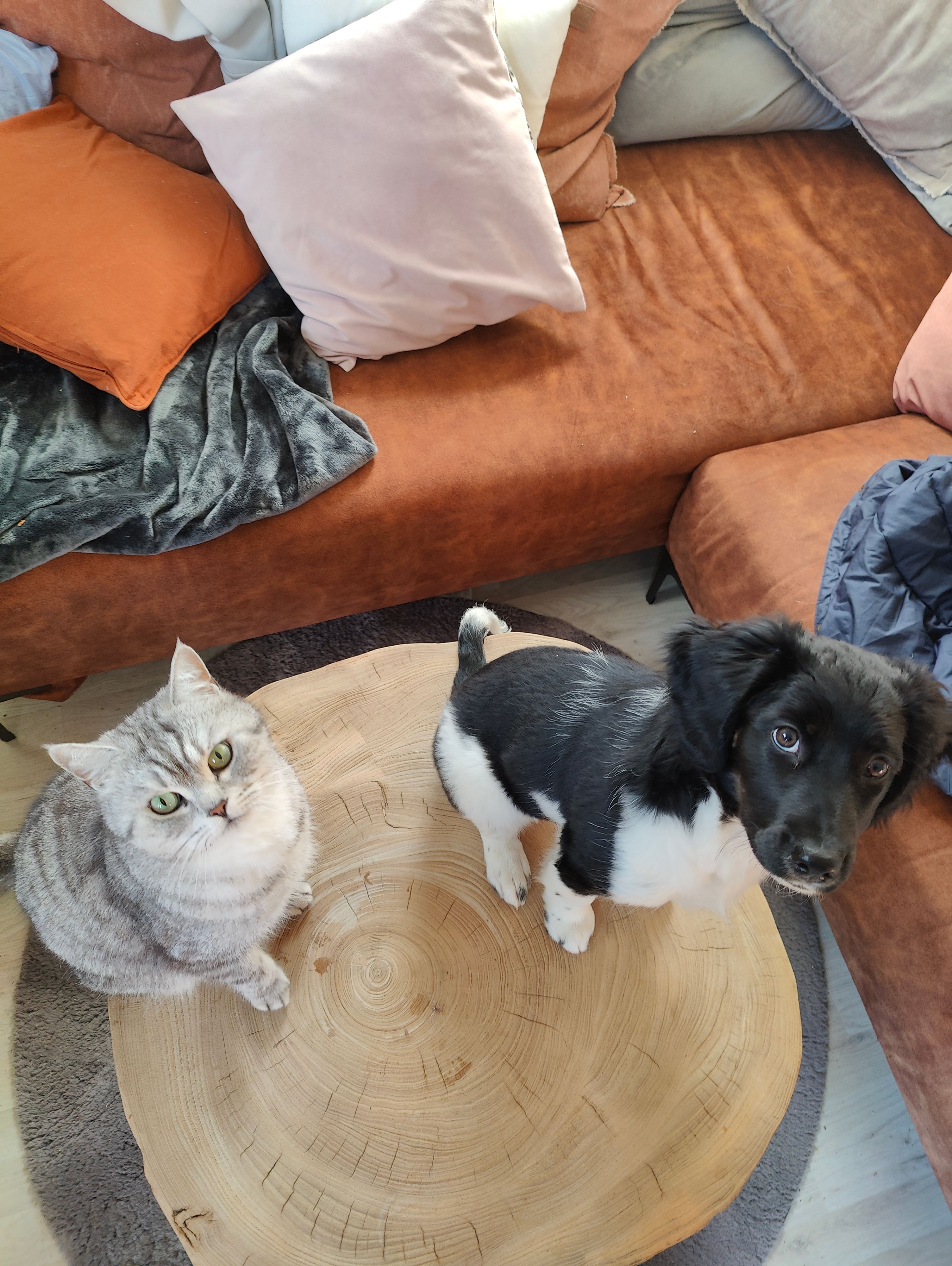 Yuki - Quai Du Cers, Gruissan