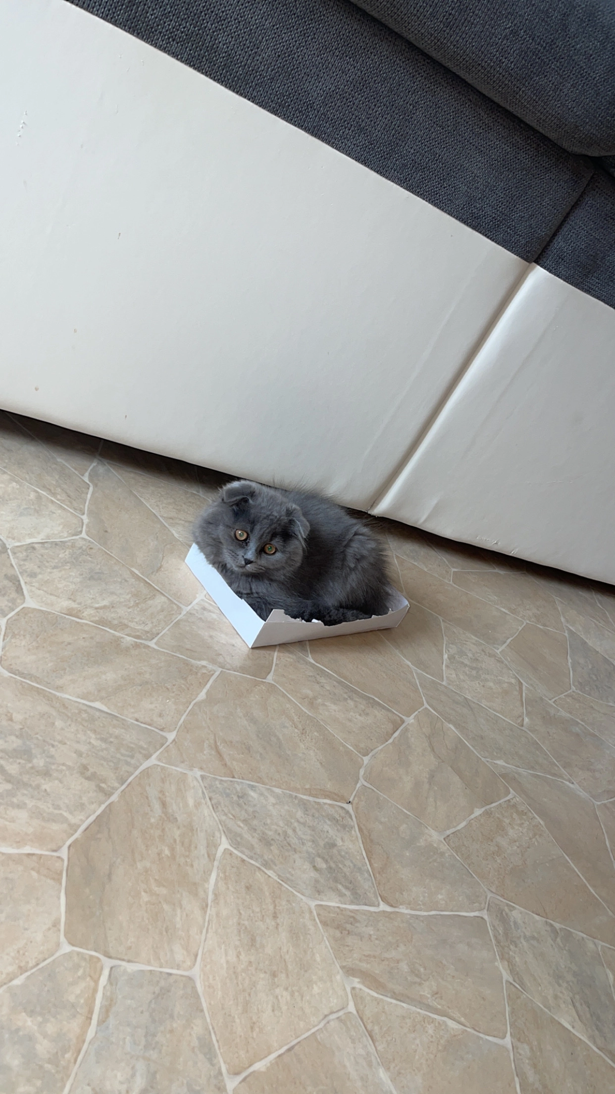 Brûme  - Rue Numa-Droz, La Chaux-de-Fonds