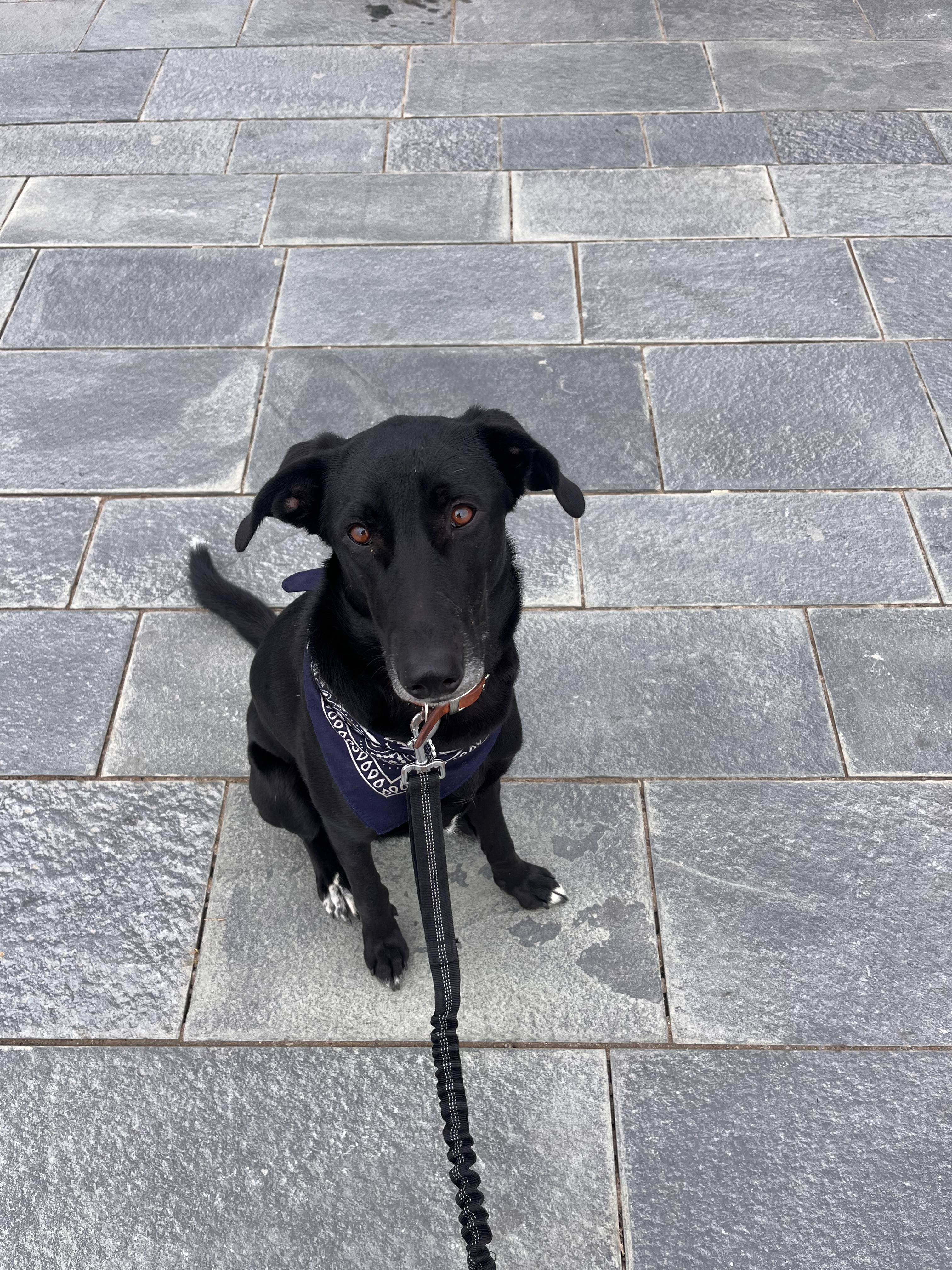 UNA - Carrer de la Marina, Barcelona