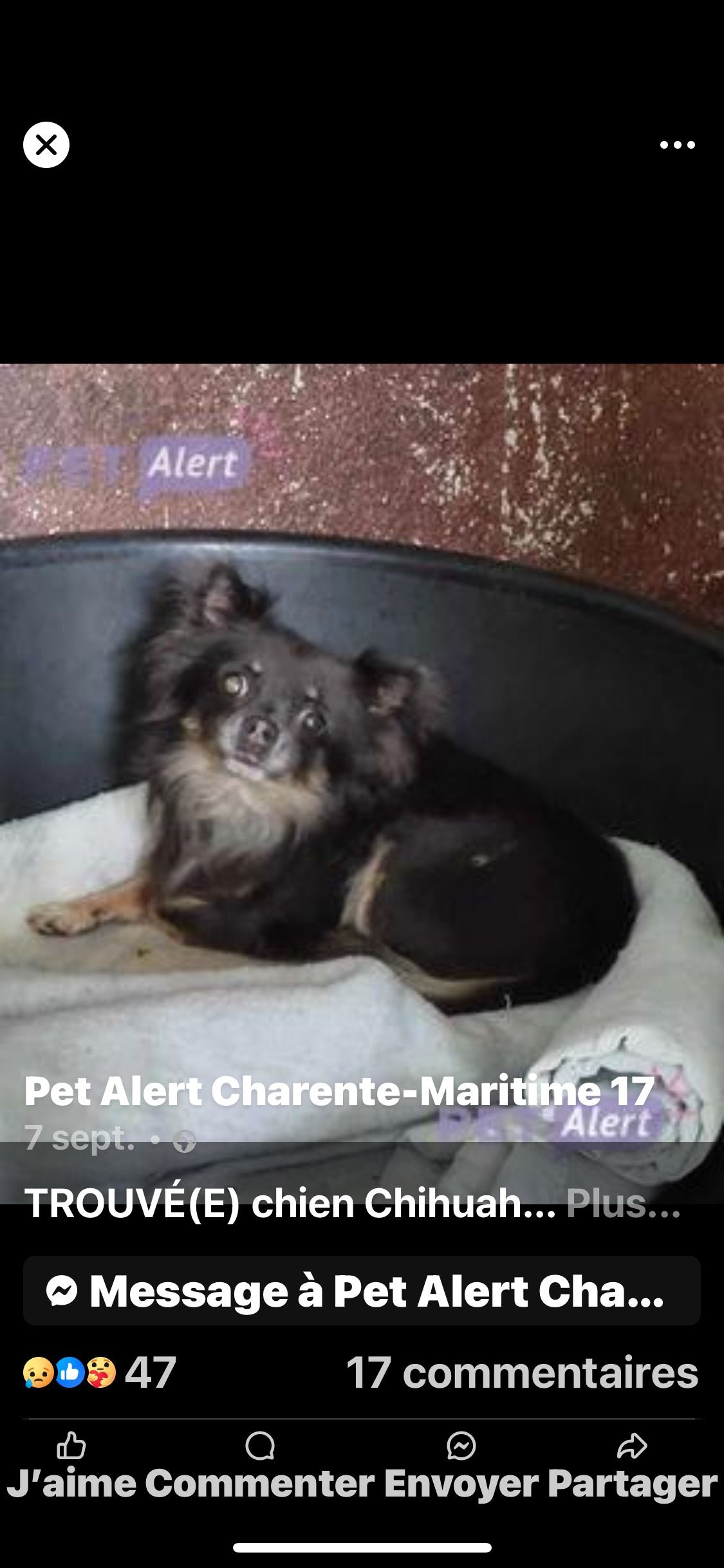 VINNIE - Autoroute du Soleil, TAILLY 