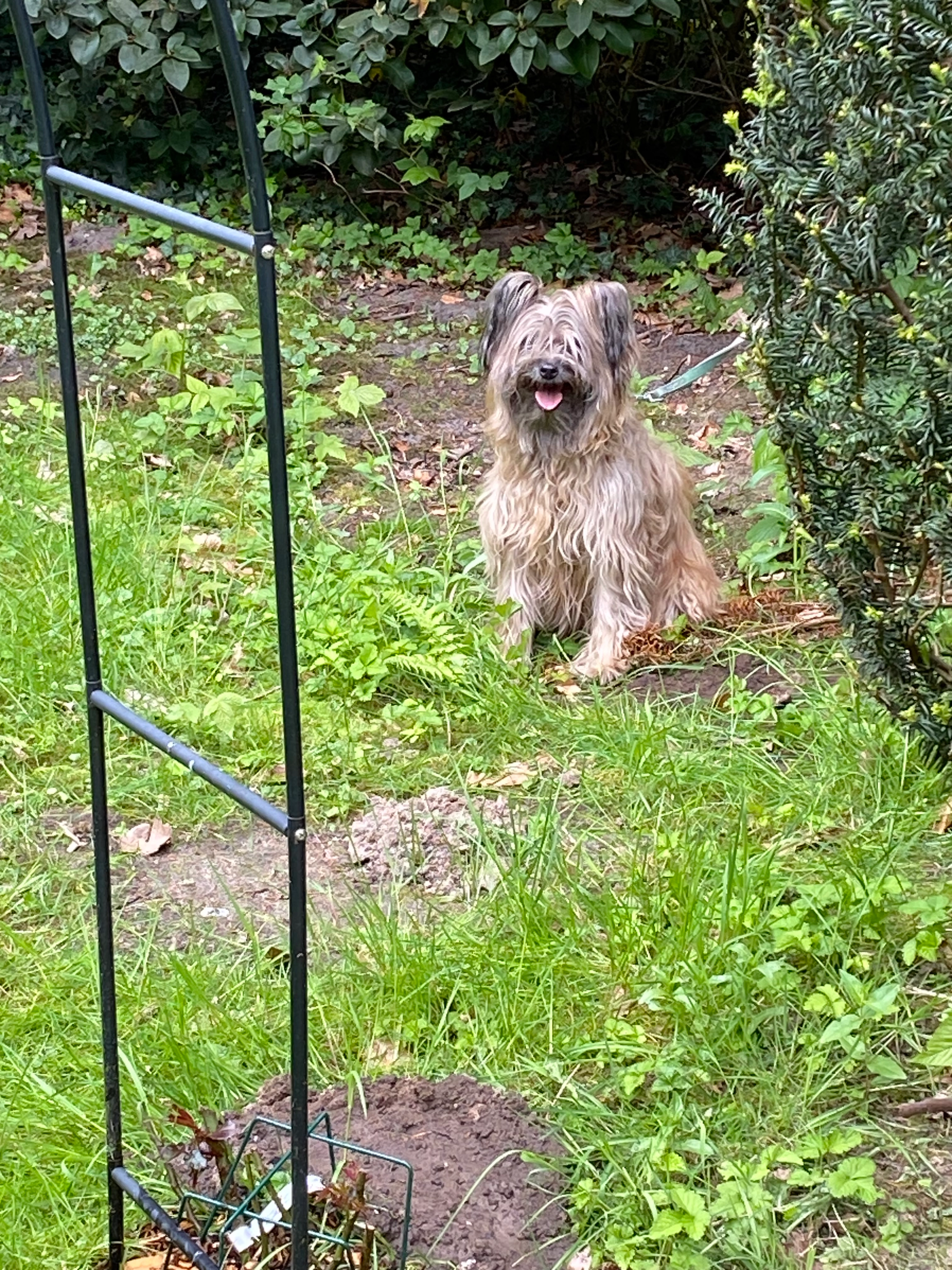  Canigou - Grindelberg, Hamburg