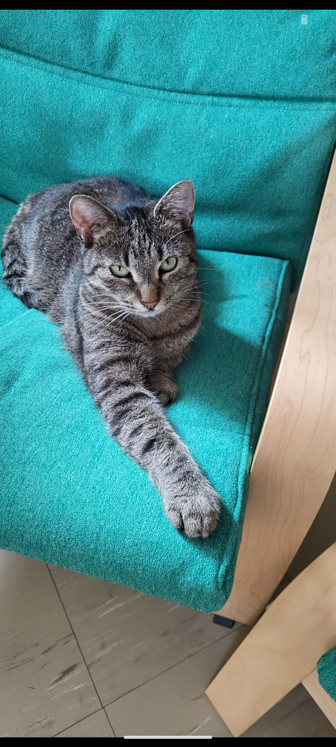 Jette  - Rhönweg 12, Dresden