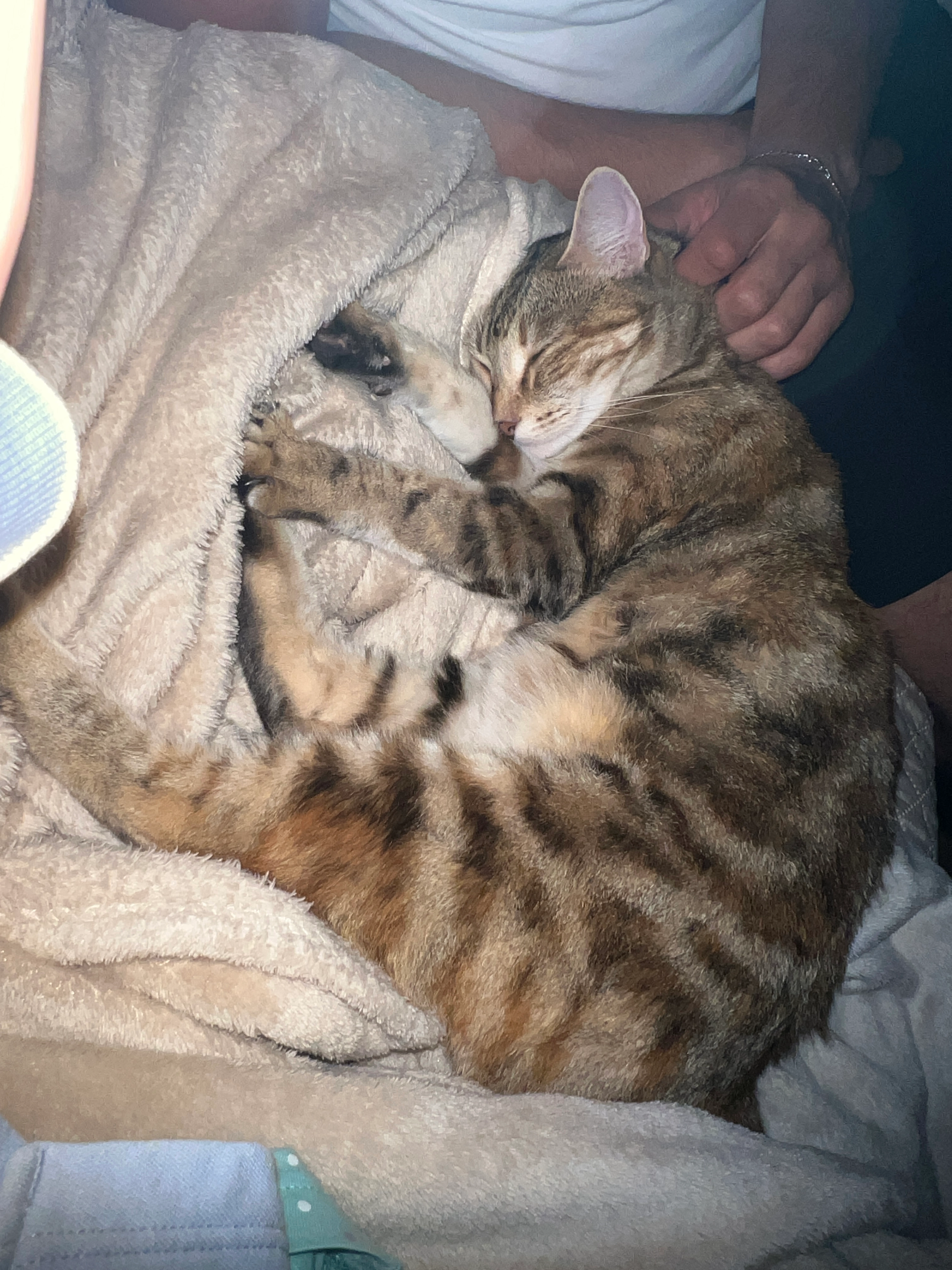 Keine Ahnung  - Alpenrosenstraße, Ottobrunn