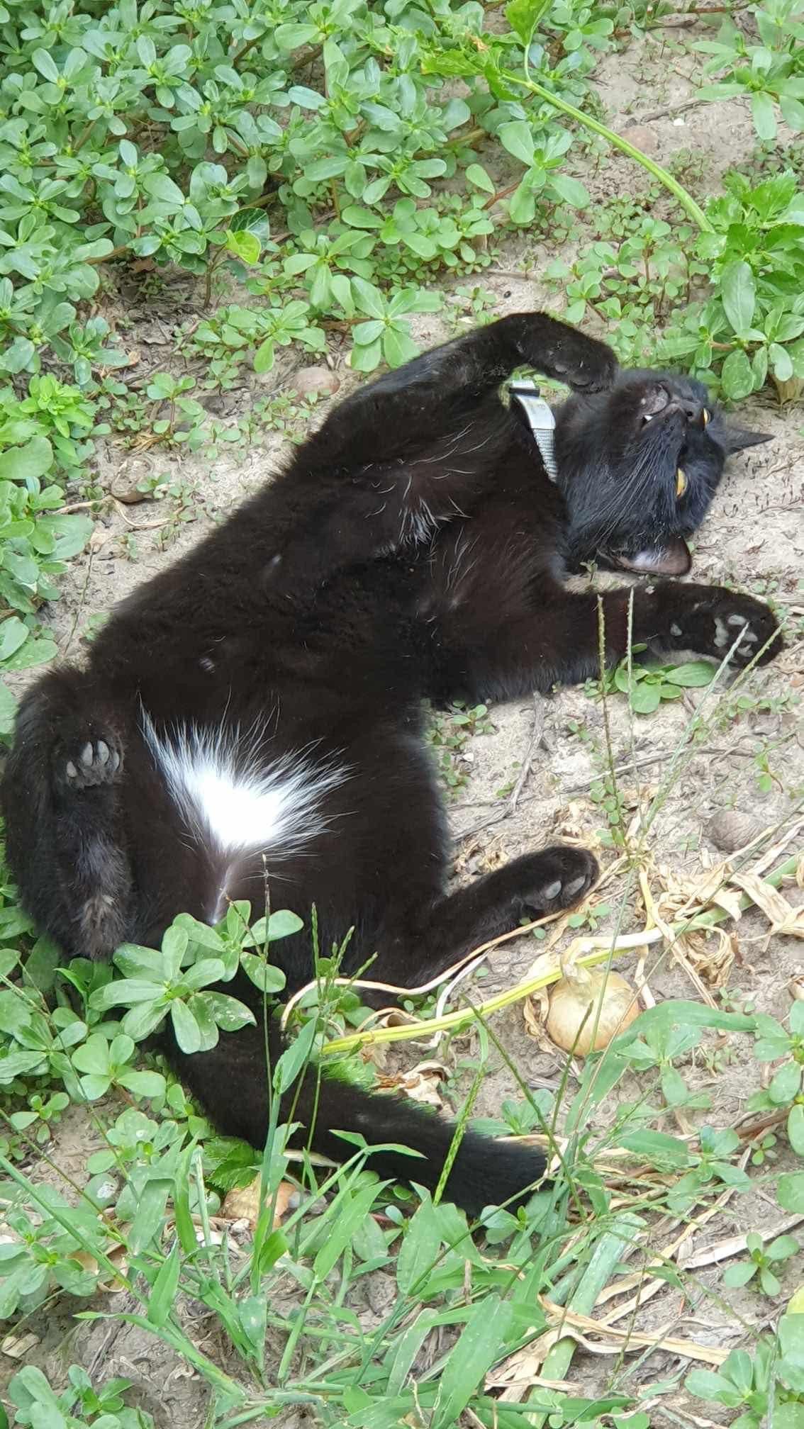 kennia - Radarowa, Warsaw