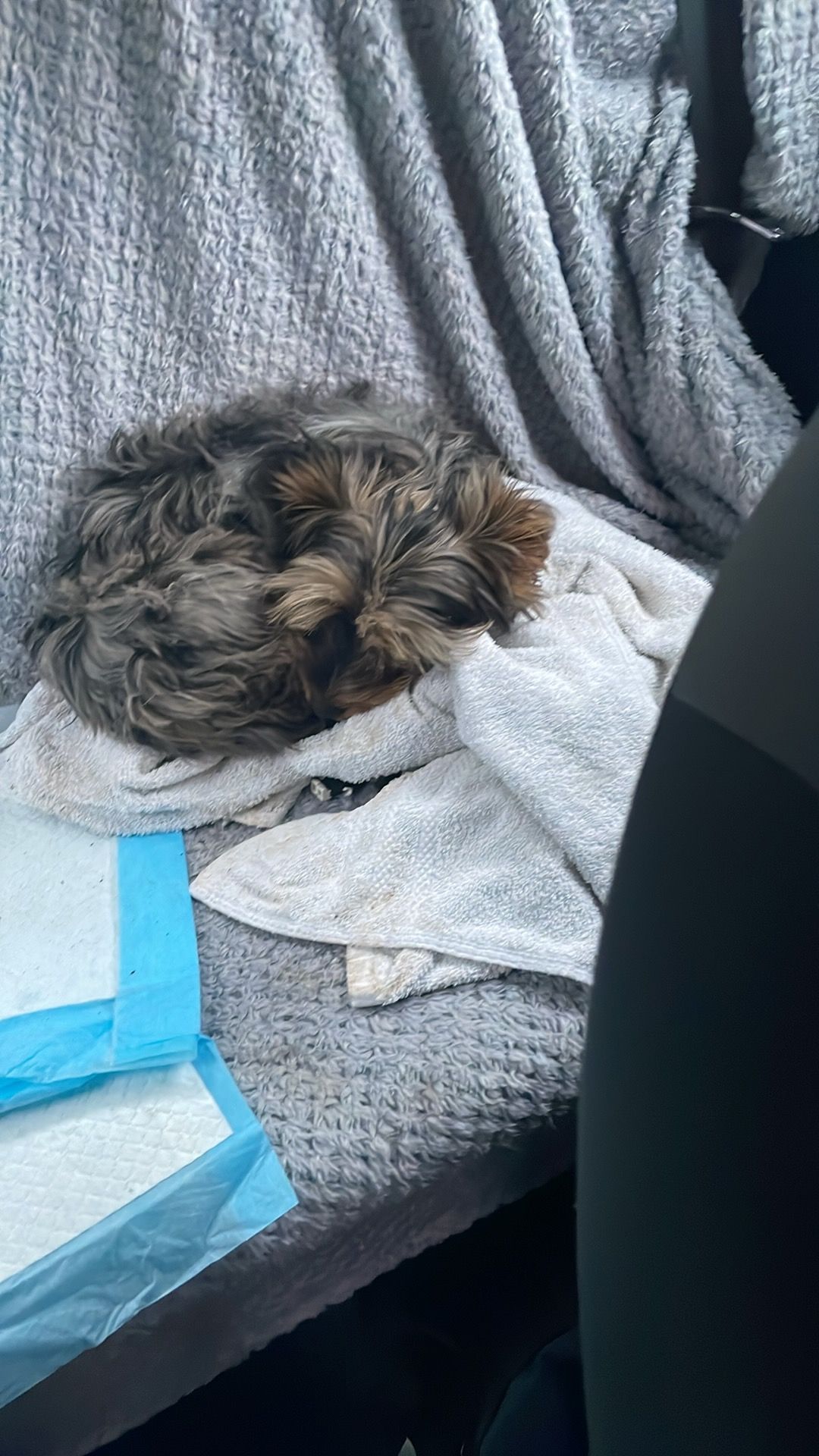 Tink - Walley Lane, Bristol