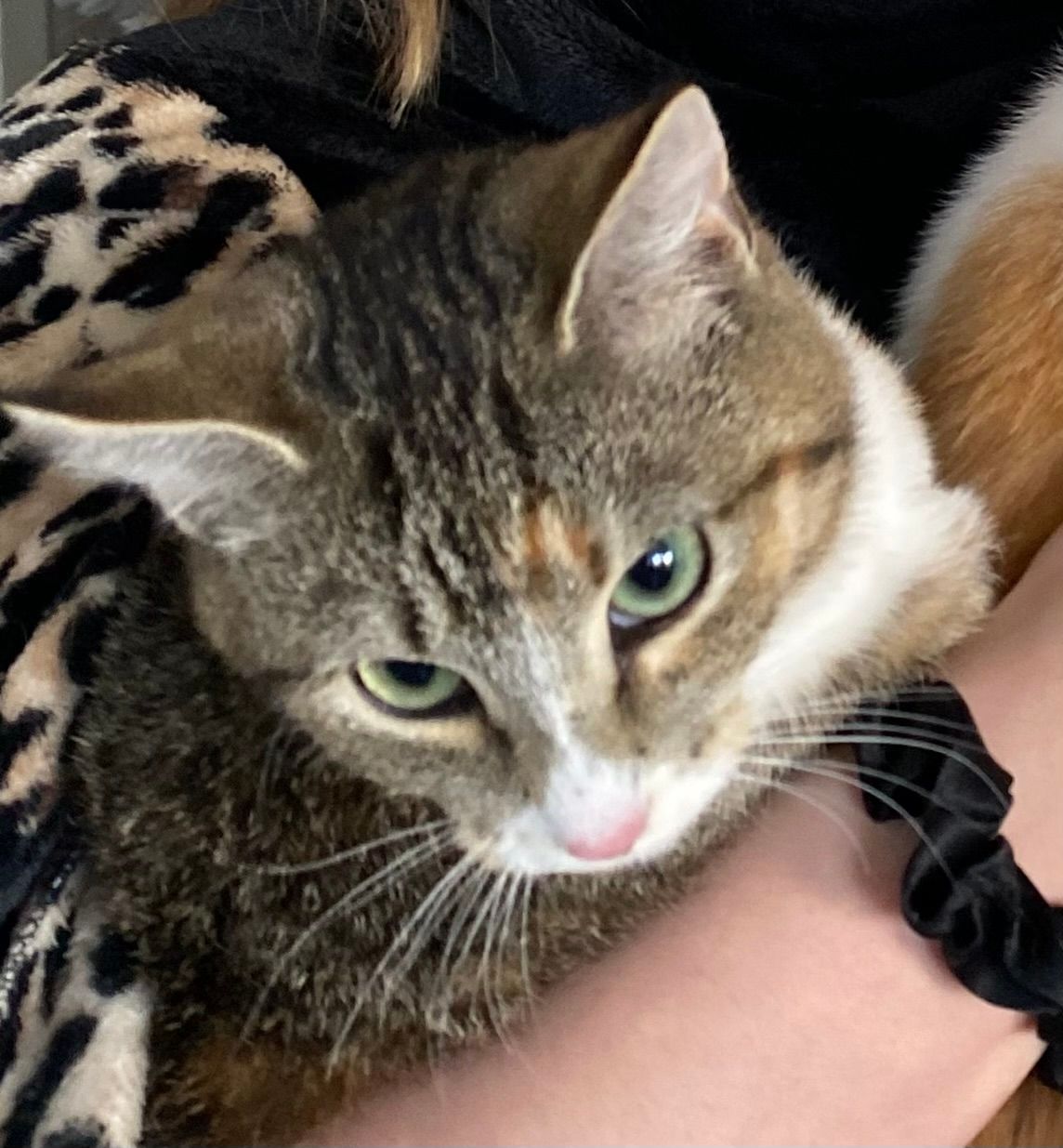 Olivia - De Warring, Heerenveen