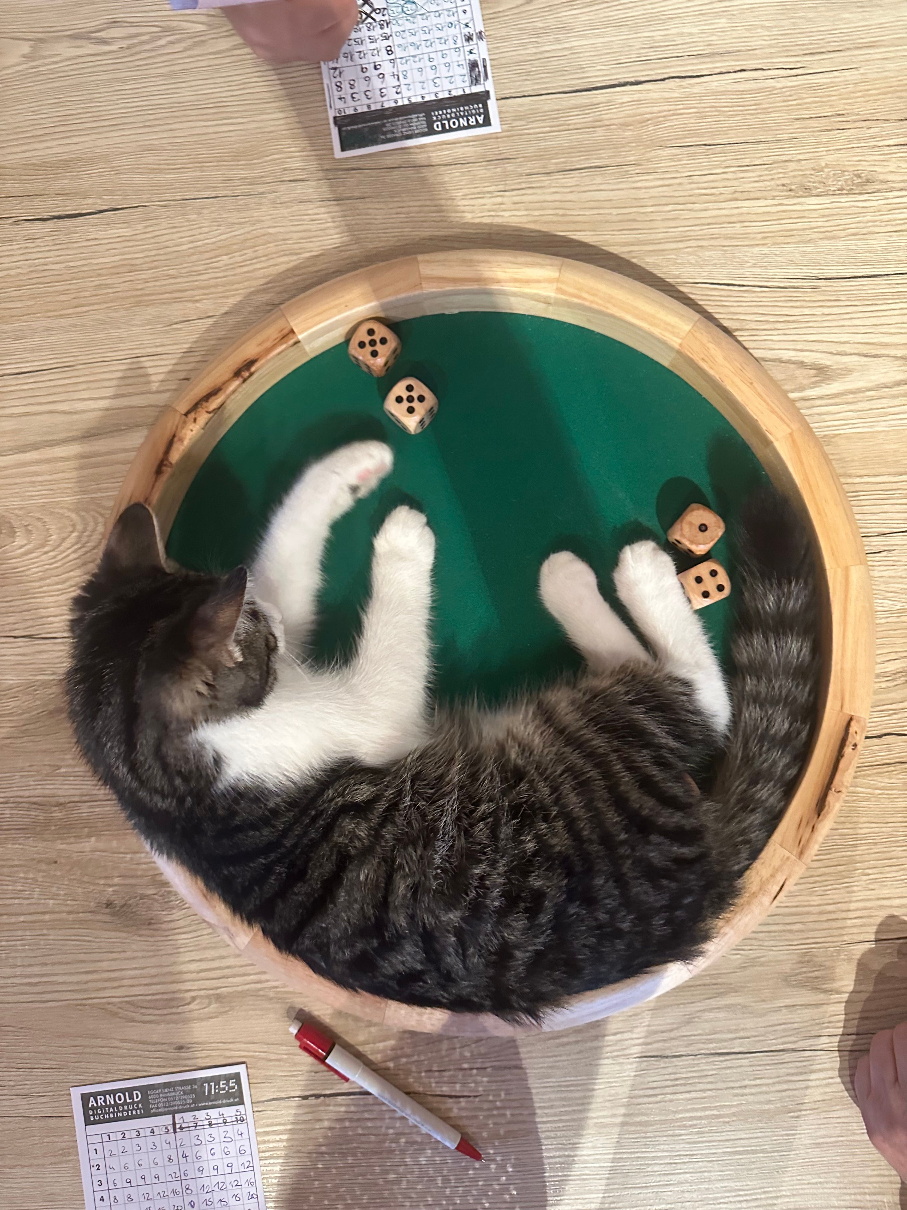 Samy - Fragensteinweg, Zirl