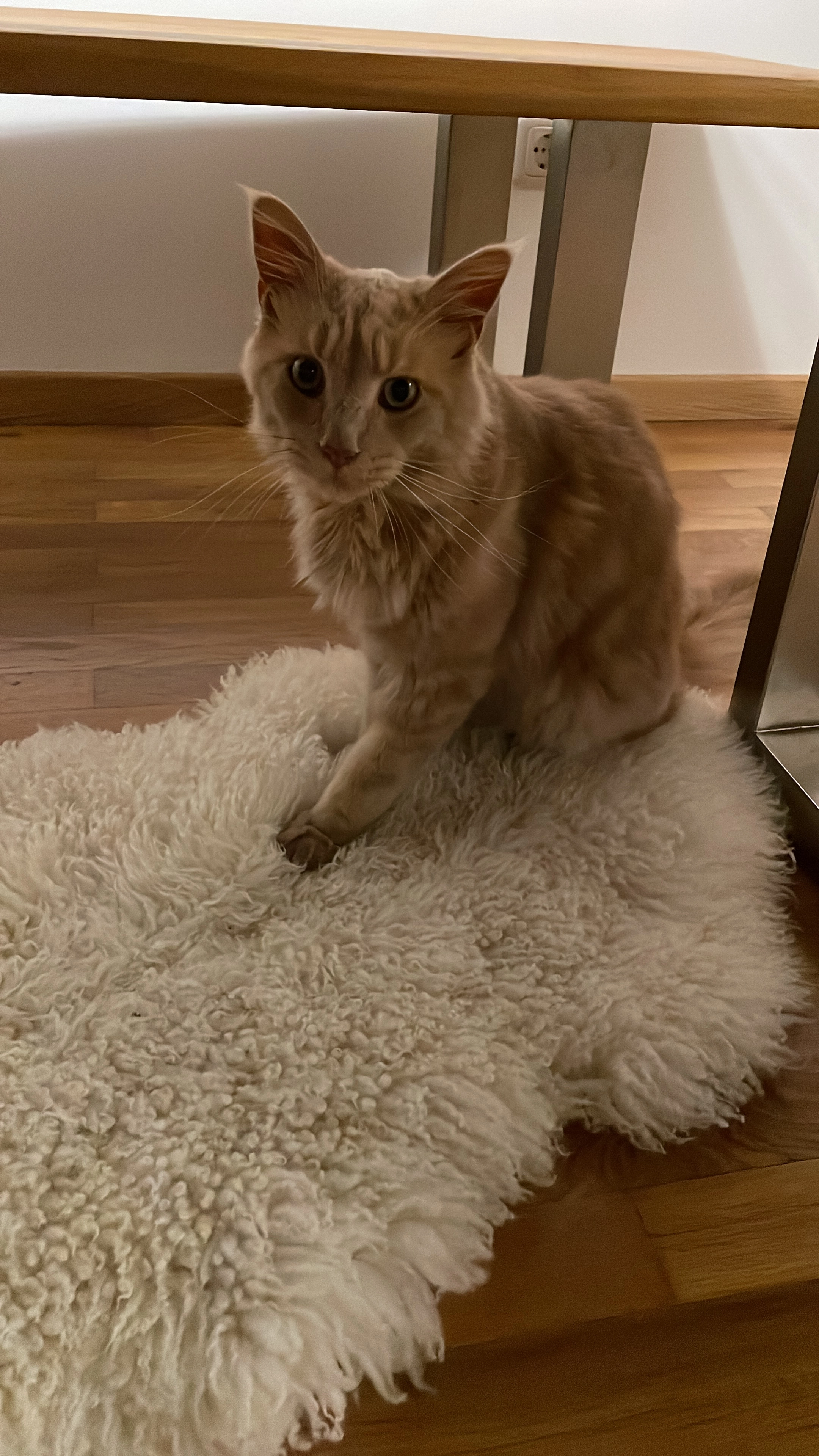 Balu - Lenbachstraße, Mering