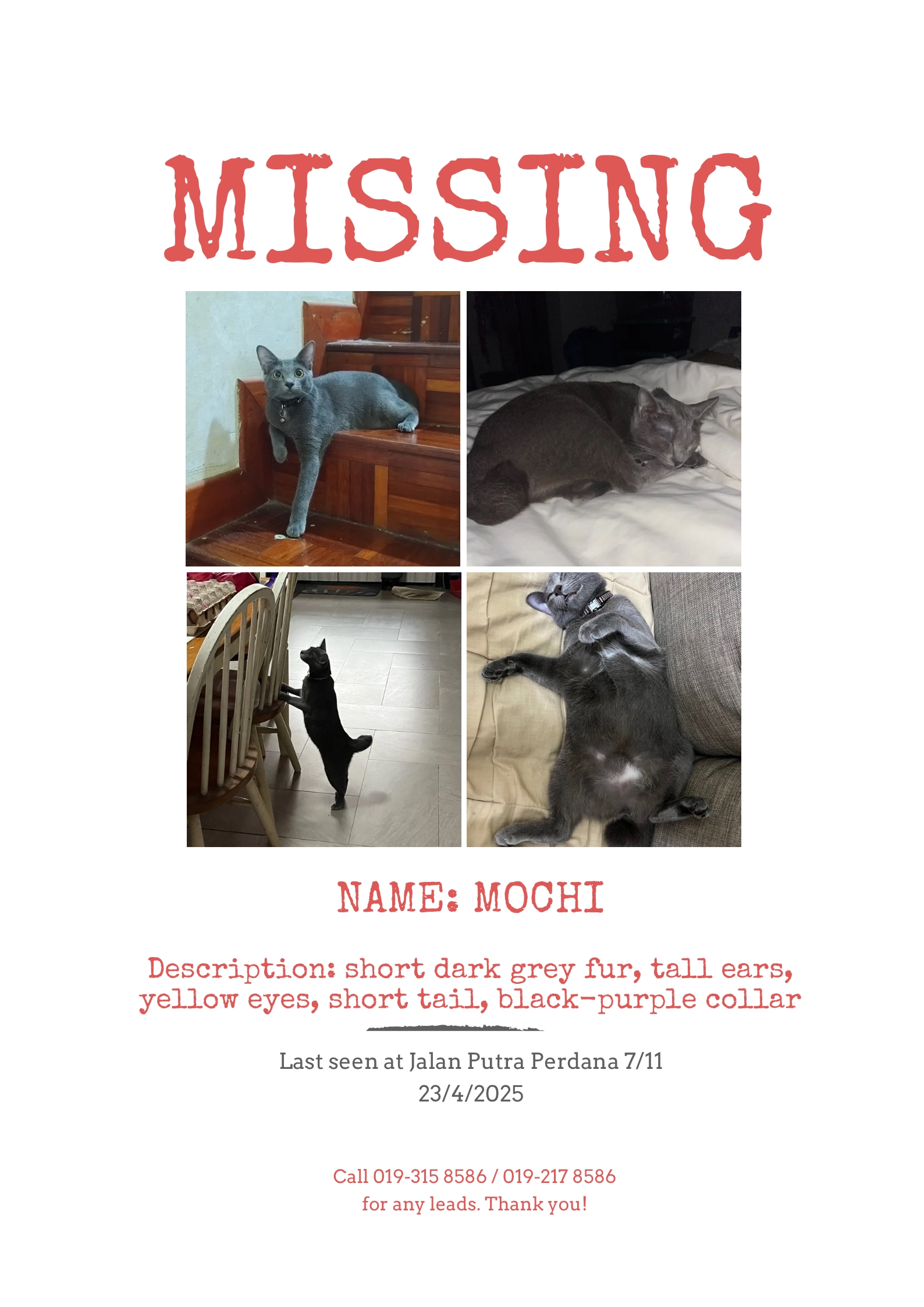 mochi - Jalan Putra Perdana 7/11, Dengkil