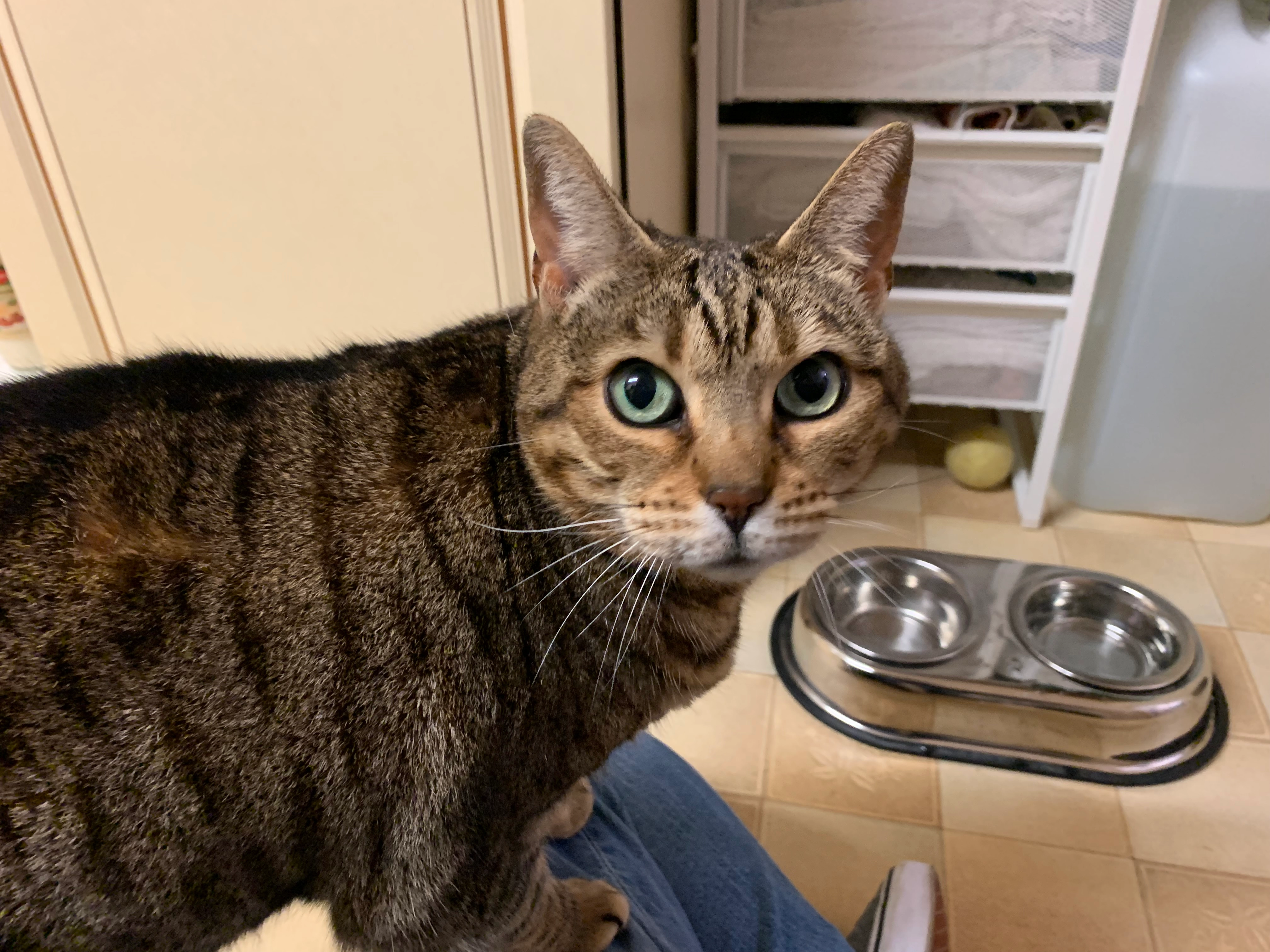 Luna - Severn View Drive, Bridgnorth