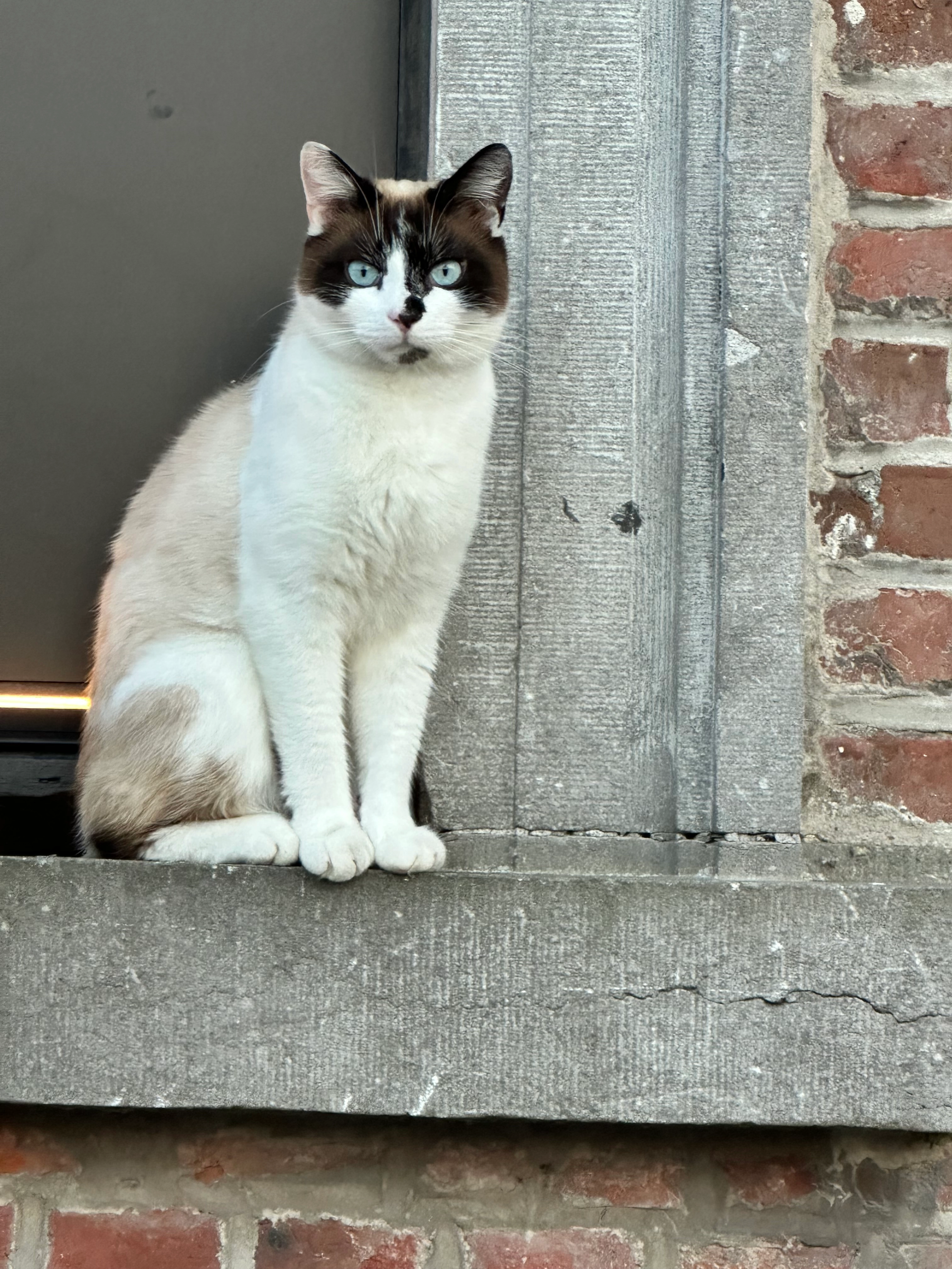 Lou - Rue du Vert Pré, Quiévrain