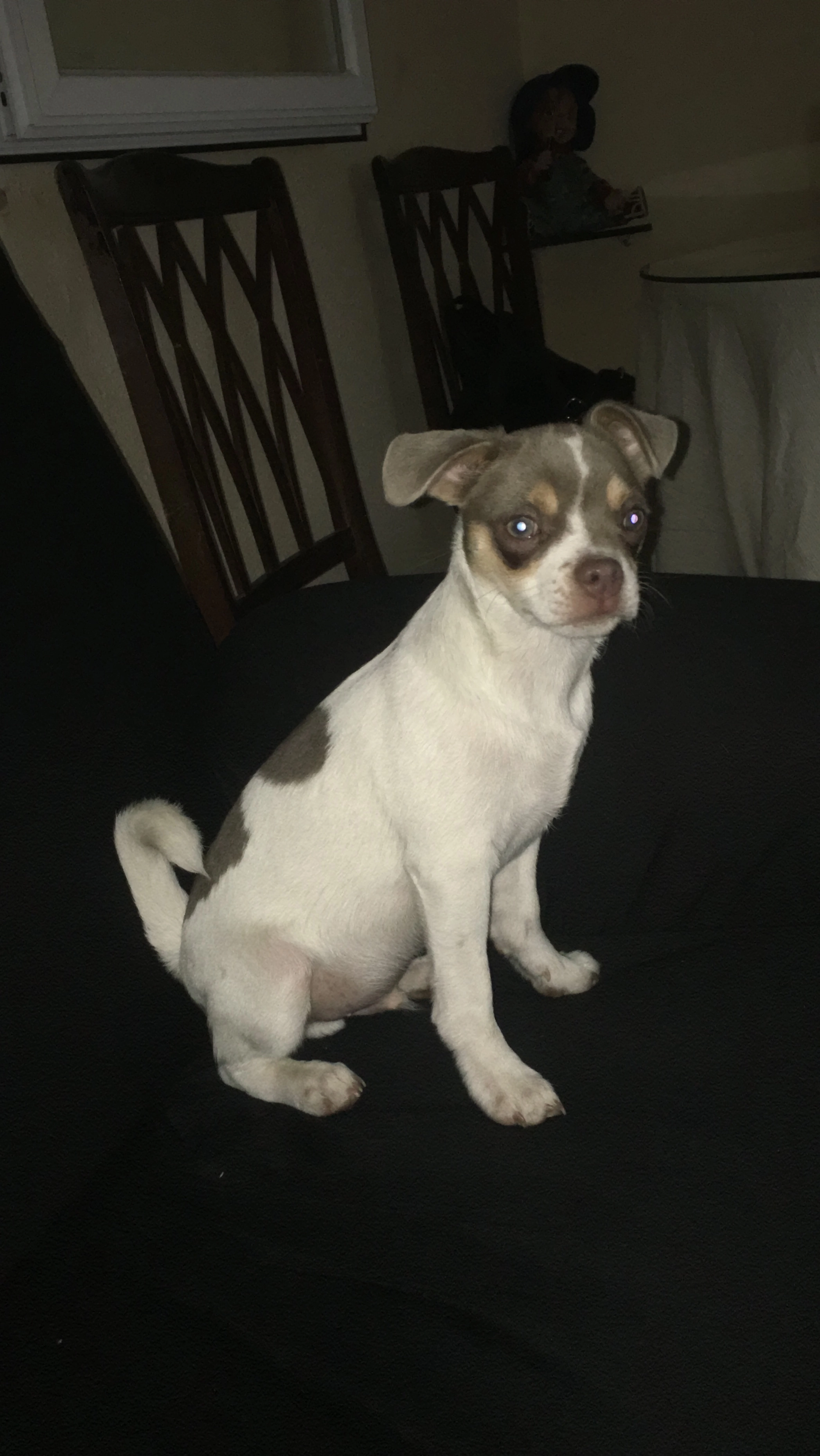 Ares - Camino de Portillo a Anaya de Alba, Éjeme