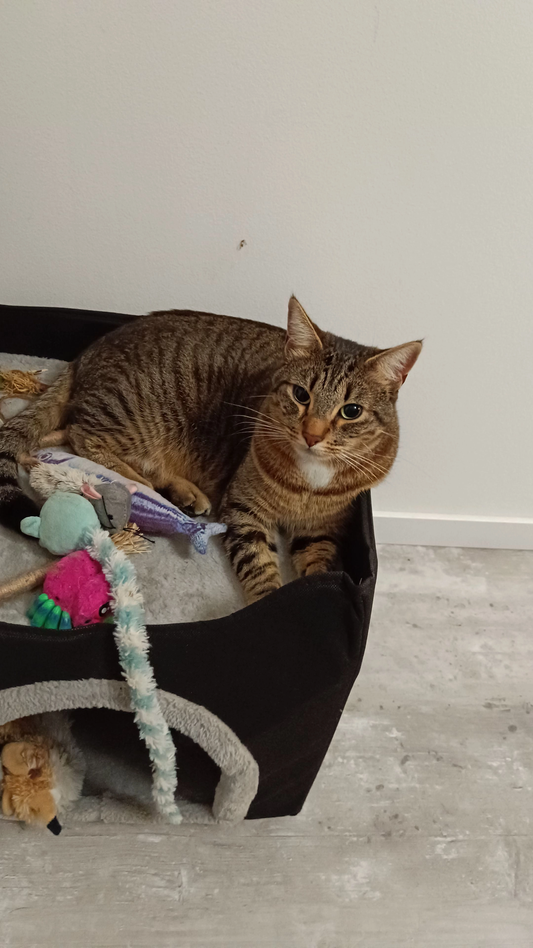 Chanel  - Rue des Musiciens, Le Mené